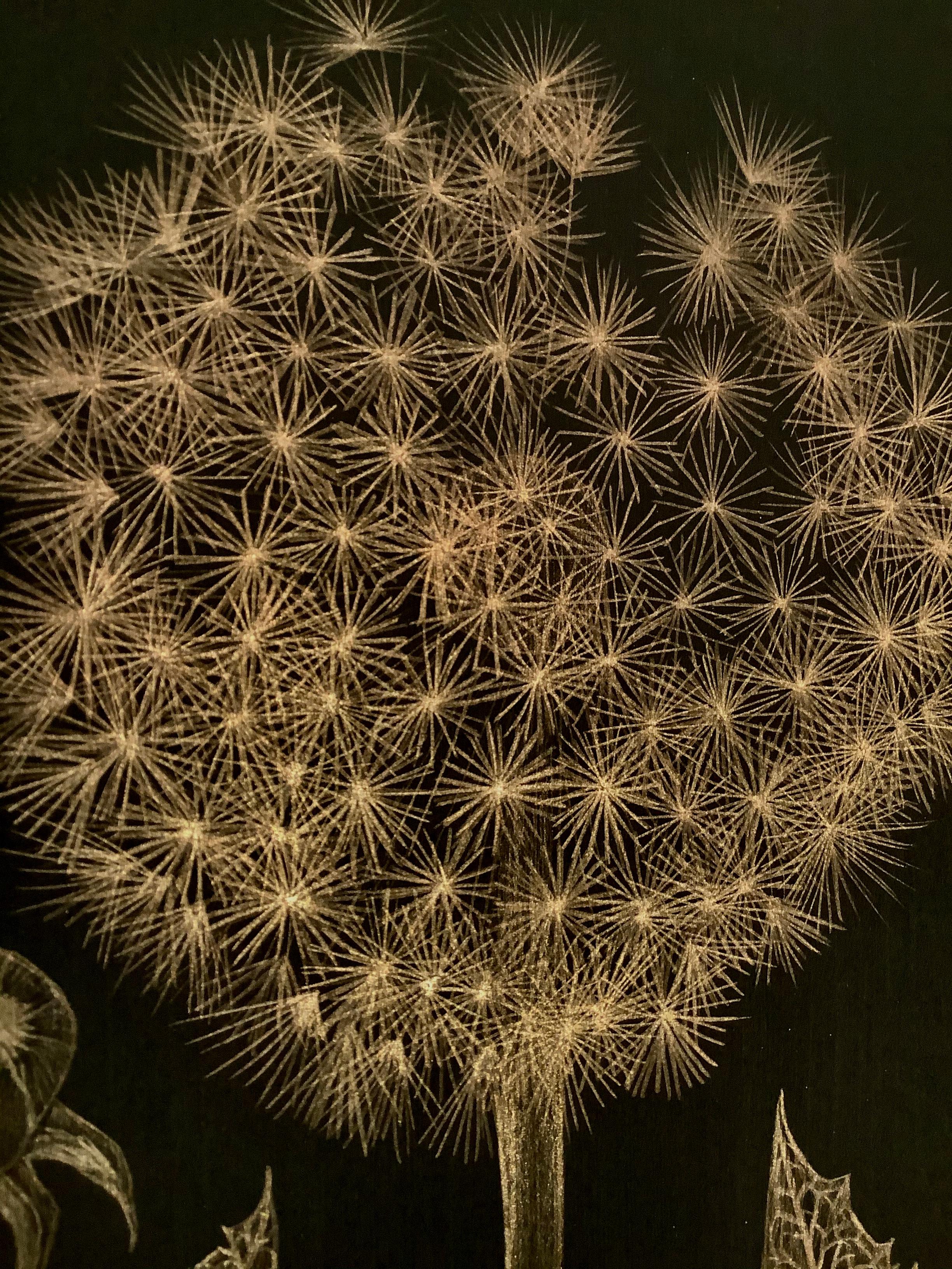 Dandelion with Bud Two, Botanical Drawing on Black Paper made with 14K Gold - Contemporary Art by Margot Glass