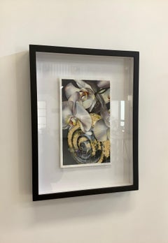 White Panama Catacomb, Botanical Painting of White Orchids, Gold Bumble Bee