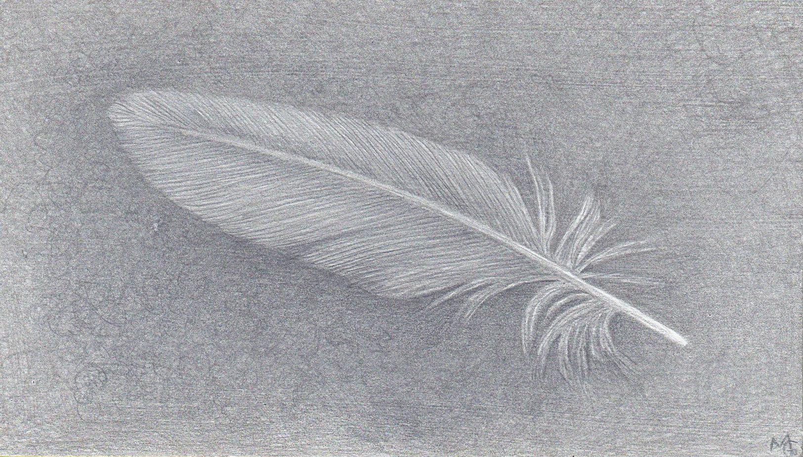 Margot Glass Landscape Art - Dove Feather Two, Small Silverpoint Drawing of Feather in Soft Gray