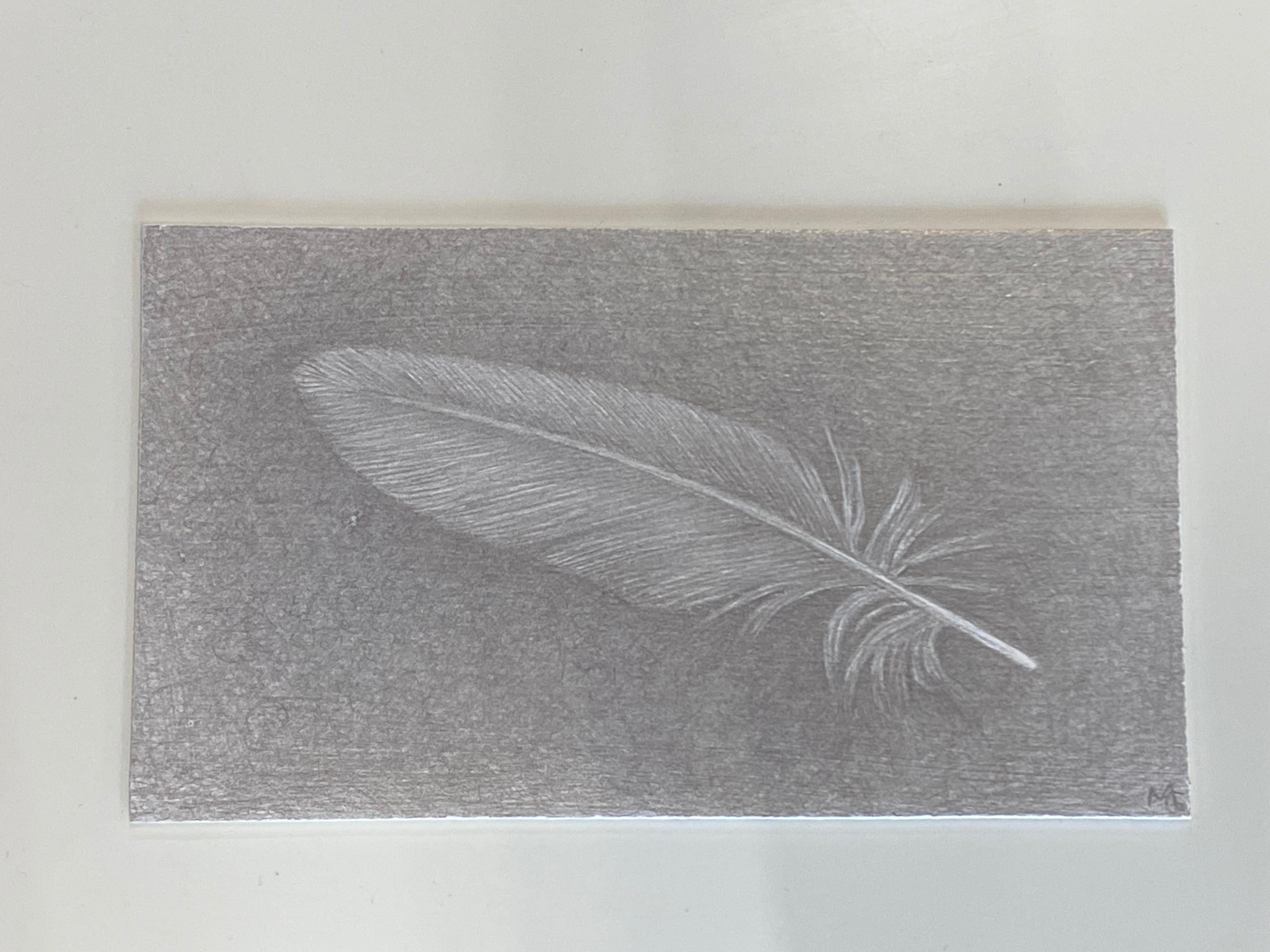 Dove Feather Two, Small Silverpoint Drawing of Feather in Soft Gray - Art by Margot Glass