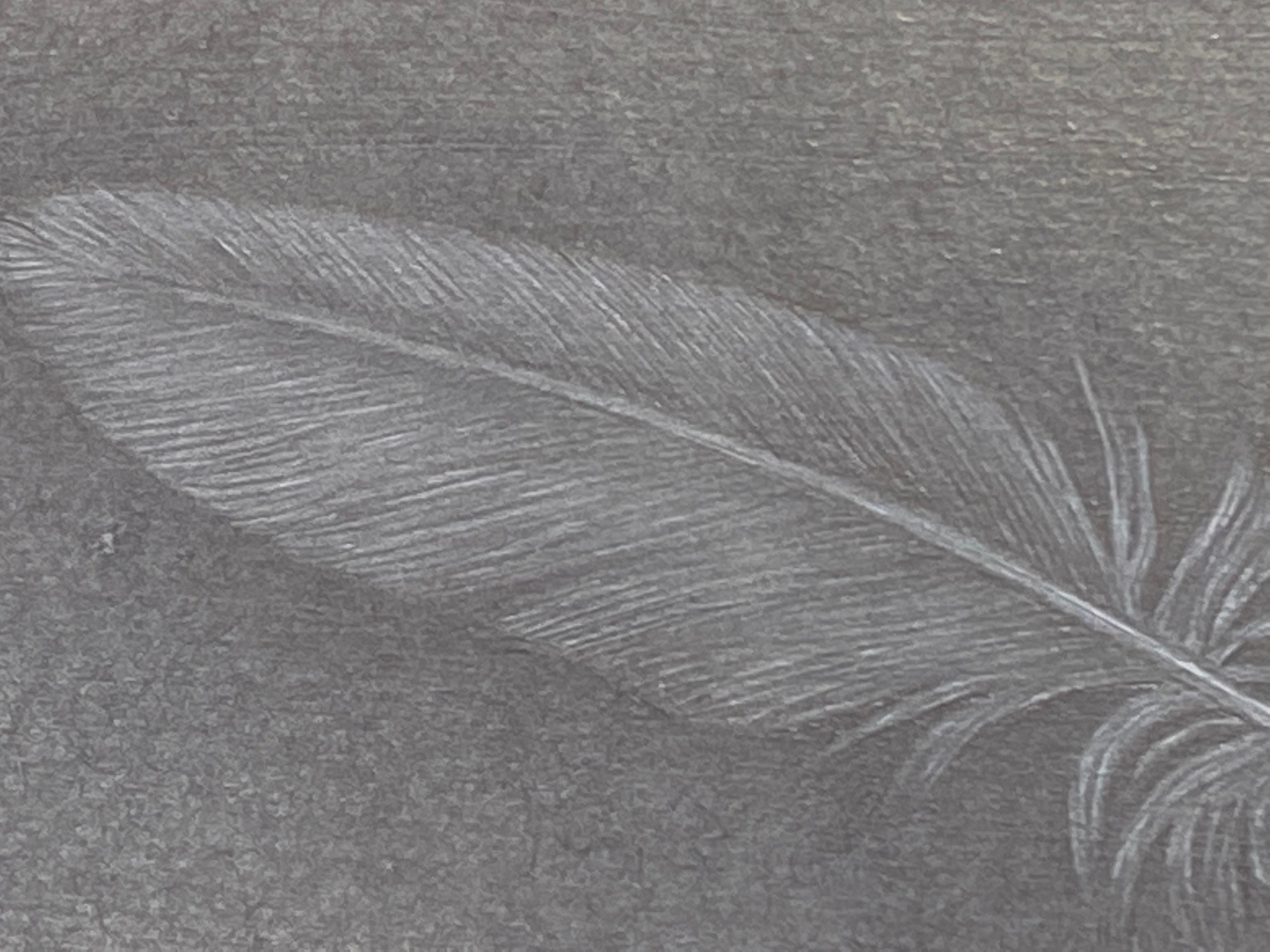 dove feather drawing