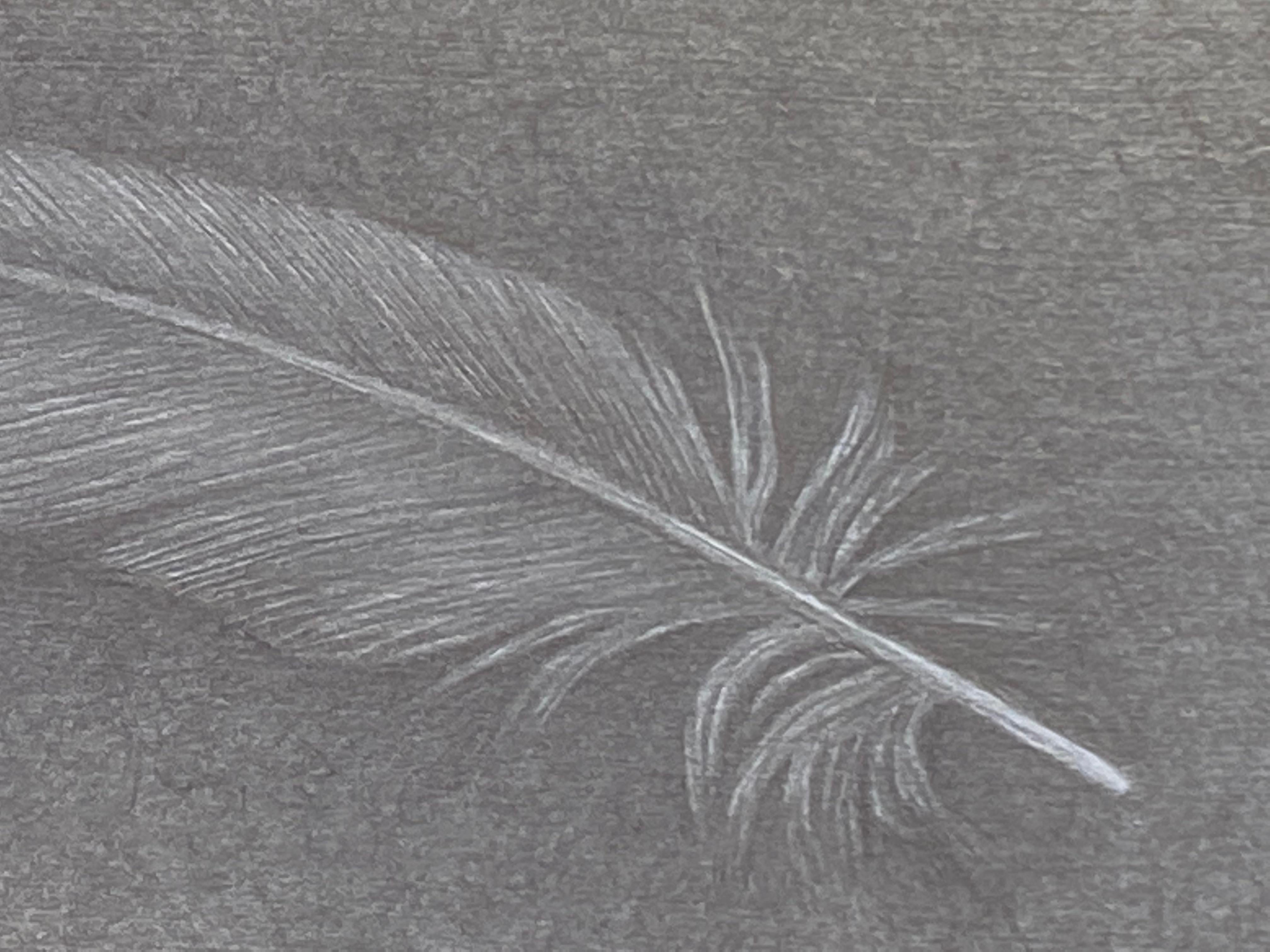 Dove Feather Two, Small Silverpoint Drawing of Feather in Soft Gray - Contemporary Art by Margot Glass
