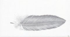 Drei Taubenfedern:: kleine silberne Zeichnung von Federn in weichem Grau auf Weiß