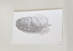 Downy Feather, Small Silverpoint Drawing of Bird's Feather in Soft Gray on White