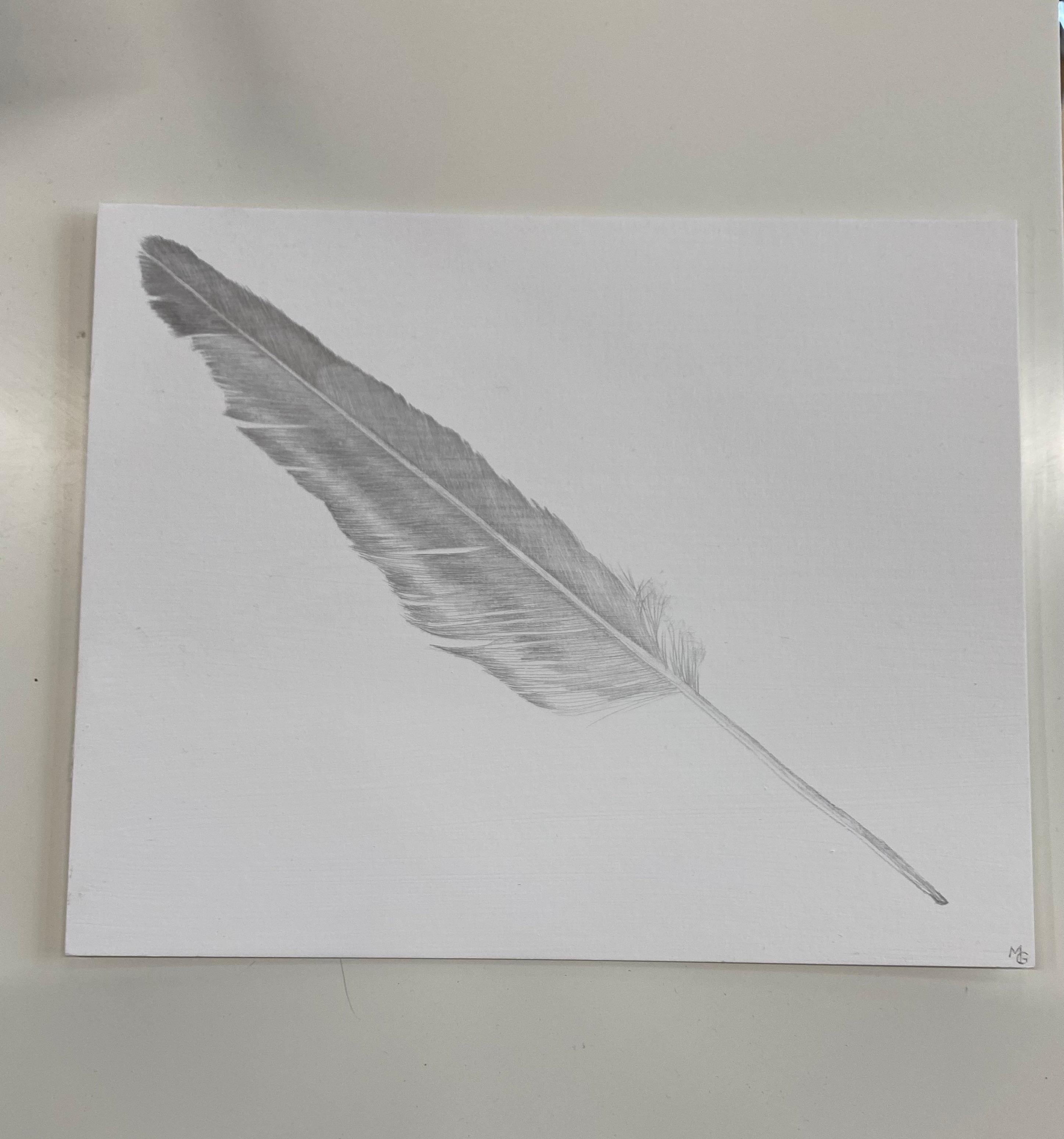 Seagull Feather, Silverpoint Drawing of Bird's Feather in Soft Gray on White - Art by Margot Glass