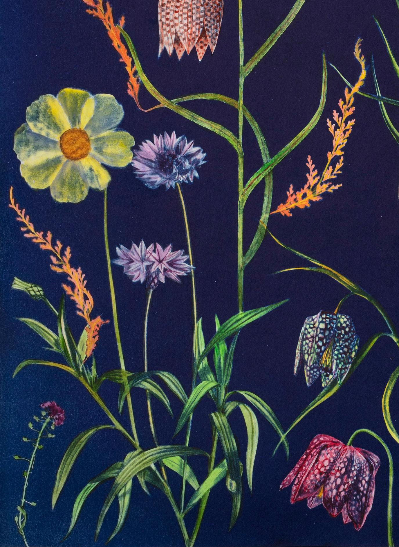 Cyanotype Painting Fritillarias, Cosmos, Buttercup, Botanical Painting on Blue - Contemporary Art by Julia Whitney Barnes