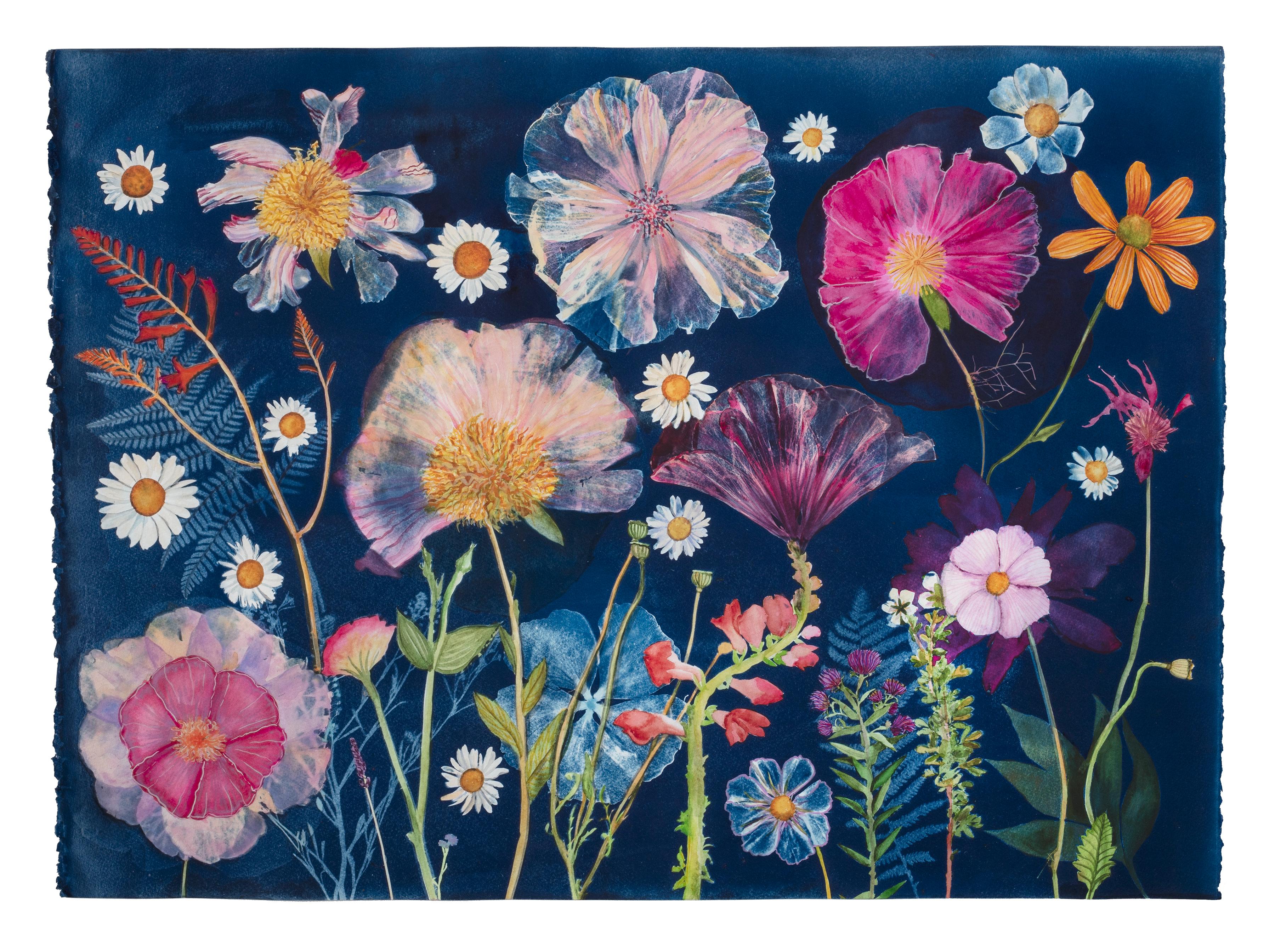 Cyanotype Painting Peonies, Hibiscus, Daisies, Montbretia, Flowers on Blue - Art by Julia Whitney Barnes