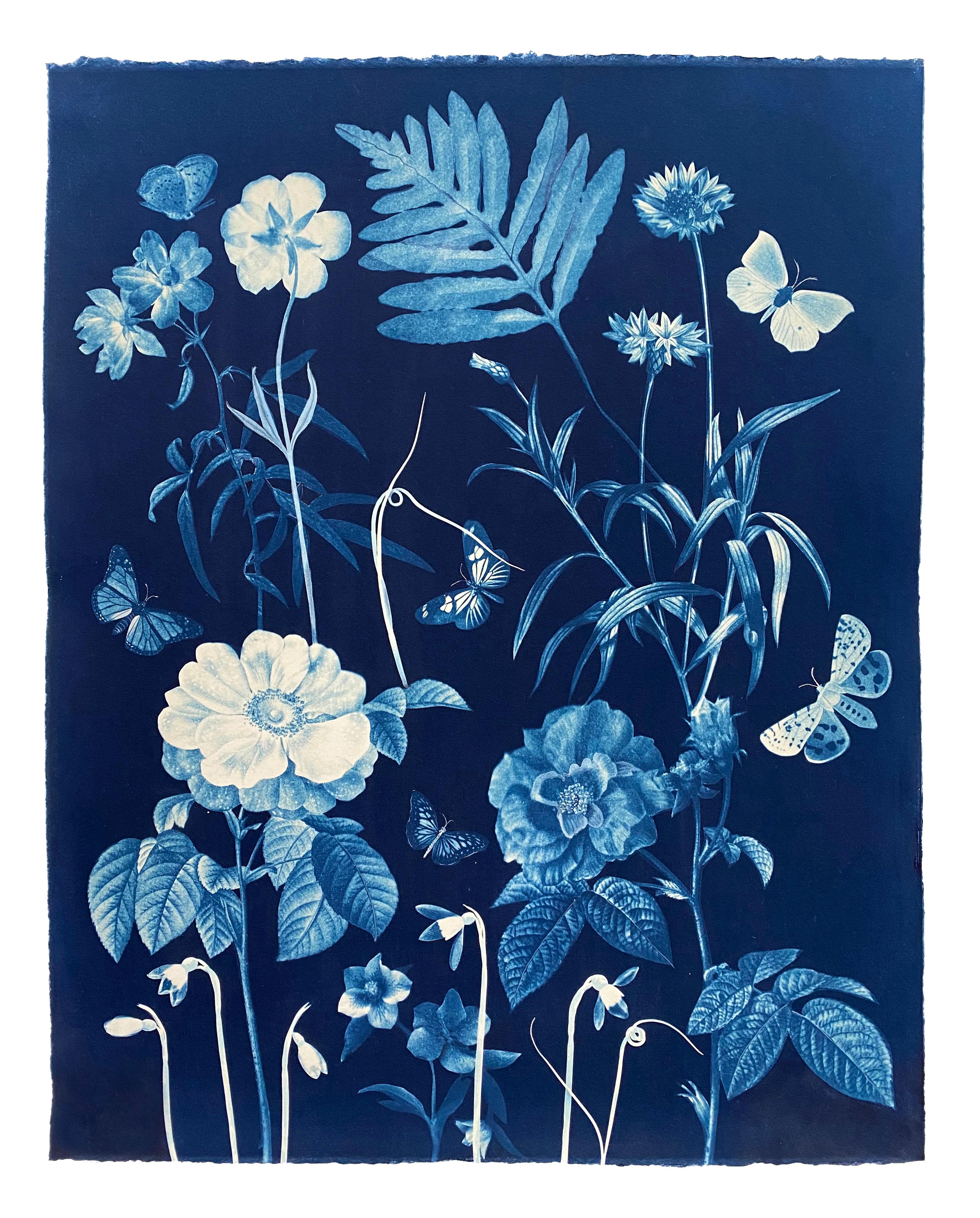 Cyanotype Painting Roses, Snowdrops, Pollinators, Botanical Painting on Blue - Art by Julia Whitney Barnes