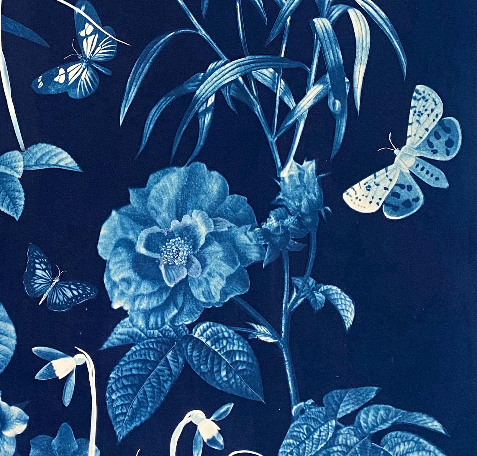 Cyanotype Painting Roses, Snowdrops, Pollinators, Botanical Painting on Blue 1