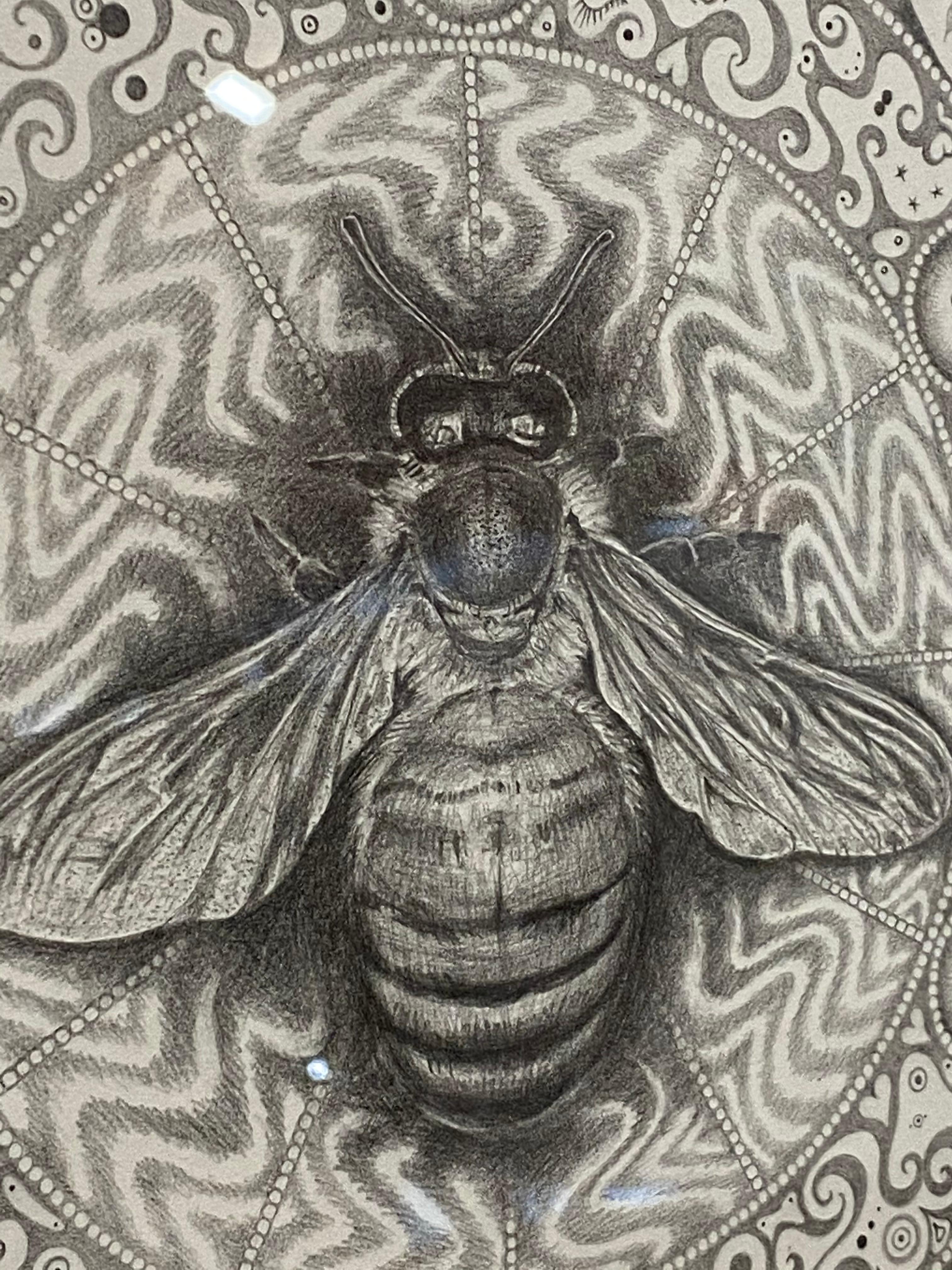 A meticulously rendered bee at the center of this drawing is the prominent feature of this mandala. Many cultures associate bees with community, courage, and personal power, a widely held symbol for productivity. Intricately drawn patterns and small