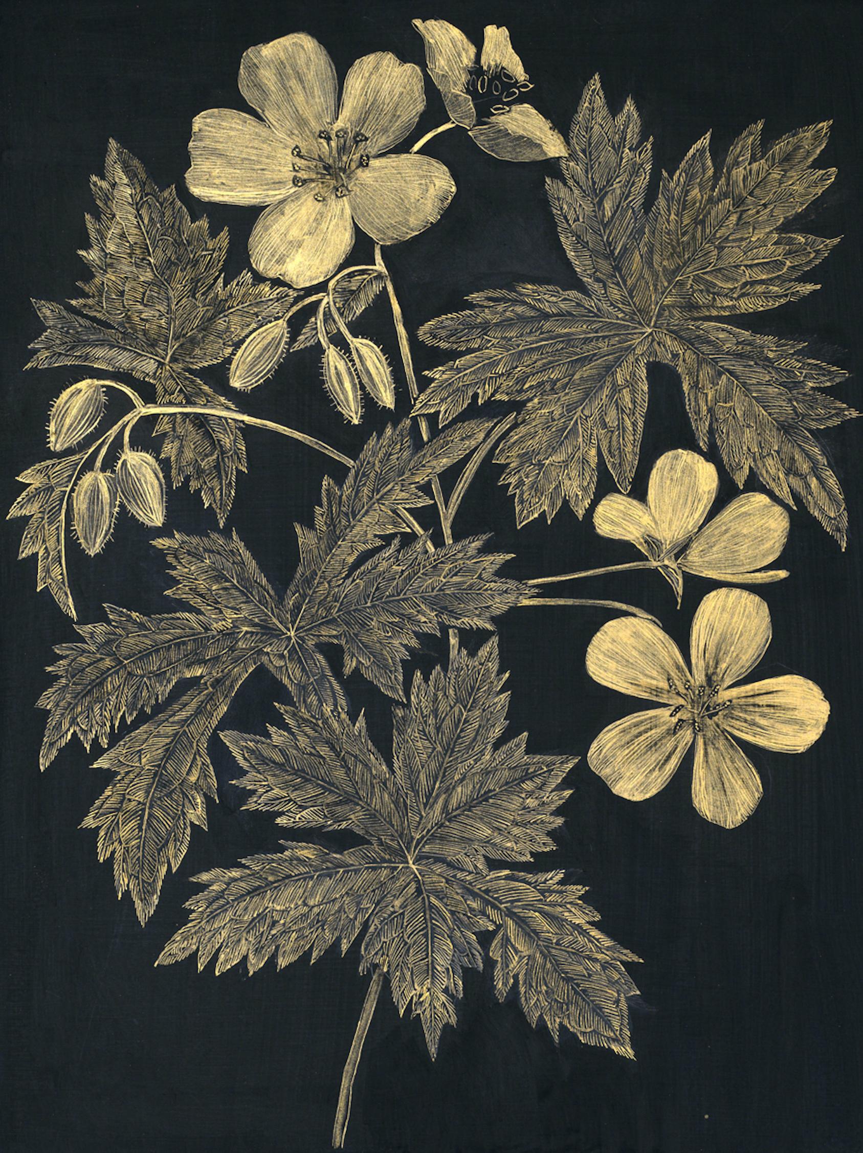 This delicate botanical drawing is made with gold acrylic on cradled panel, painted black. The exploration of ephemerality, and the fragility of a wild geranium, its leaves, flowers and buds are the focus of this painting by Margot Glass. The