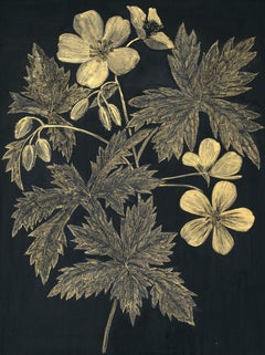 Wild Geranium, Botanical Painting on Black Panel with Gold Flowers, Leaves, Stem