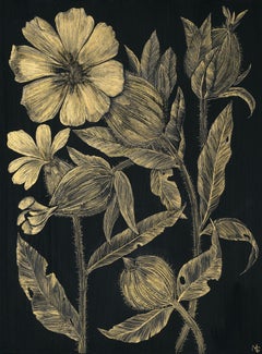 White Campion, Botanical Painting on Black Panel with Gold Flowers, Leaves, Stem