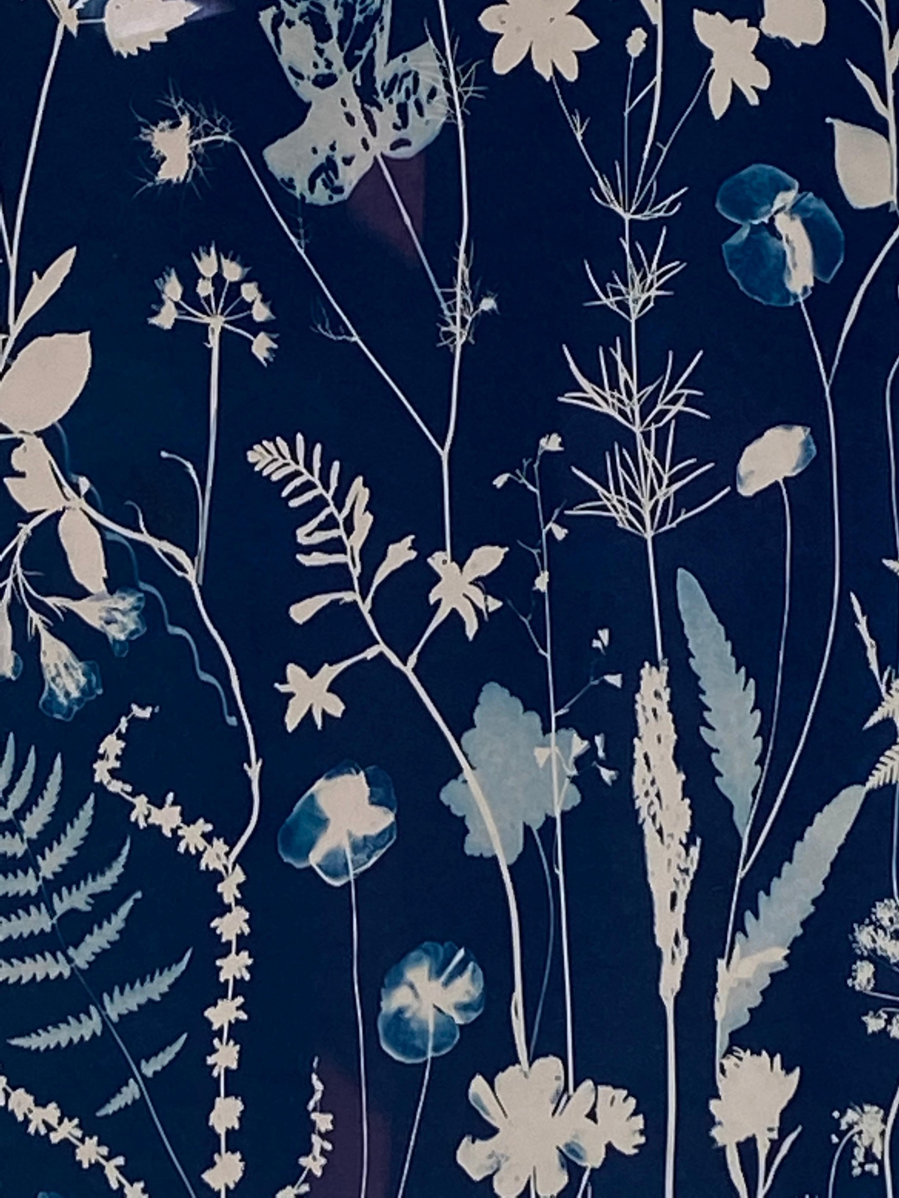Cyanotype Painting Poppies, Rose of Sharon, Ferns, Botanical Painting in Blue - Contemporary Art by Julia Whitney Barnes