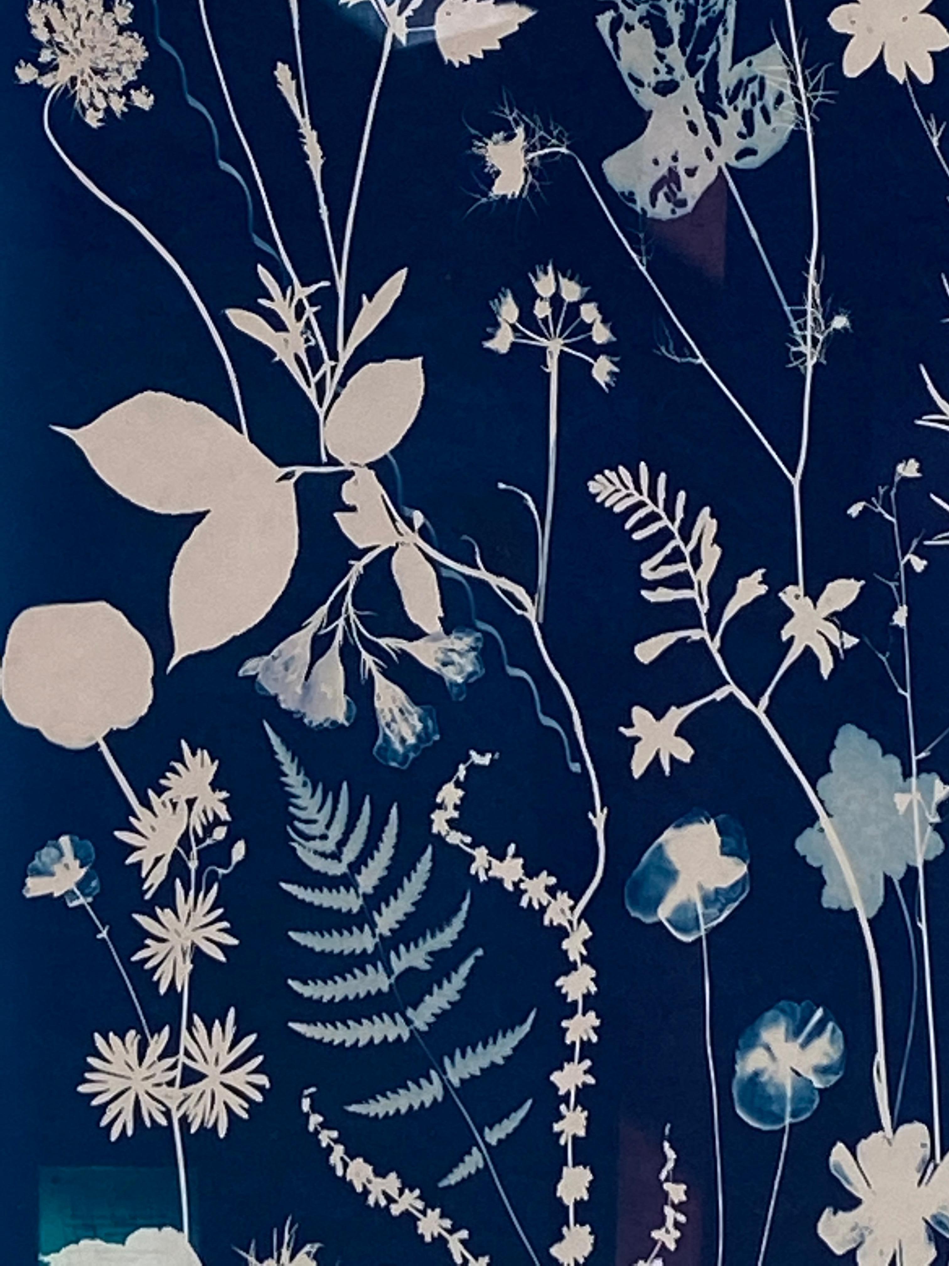 In this vertical work in watercolor, gouache, and cyanotype on hot press watercolor paper, meticulously detailed flowers, including poppies, cosmos, rose of sharon and Queen Anne's lace are depicted with ferns in shades of pale blue against a deep,