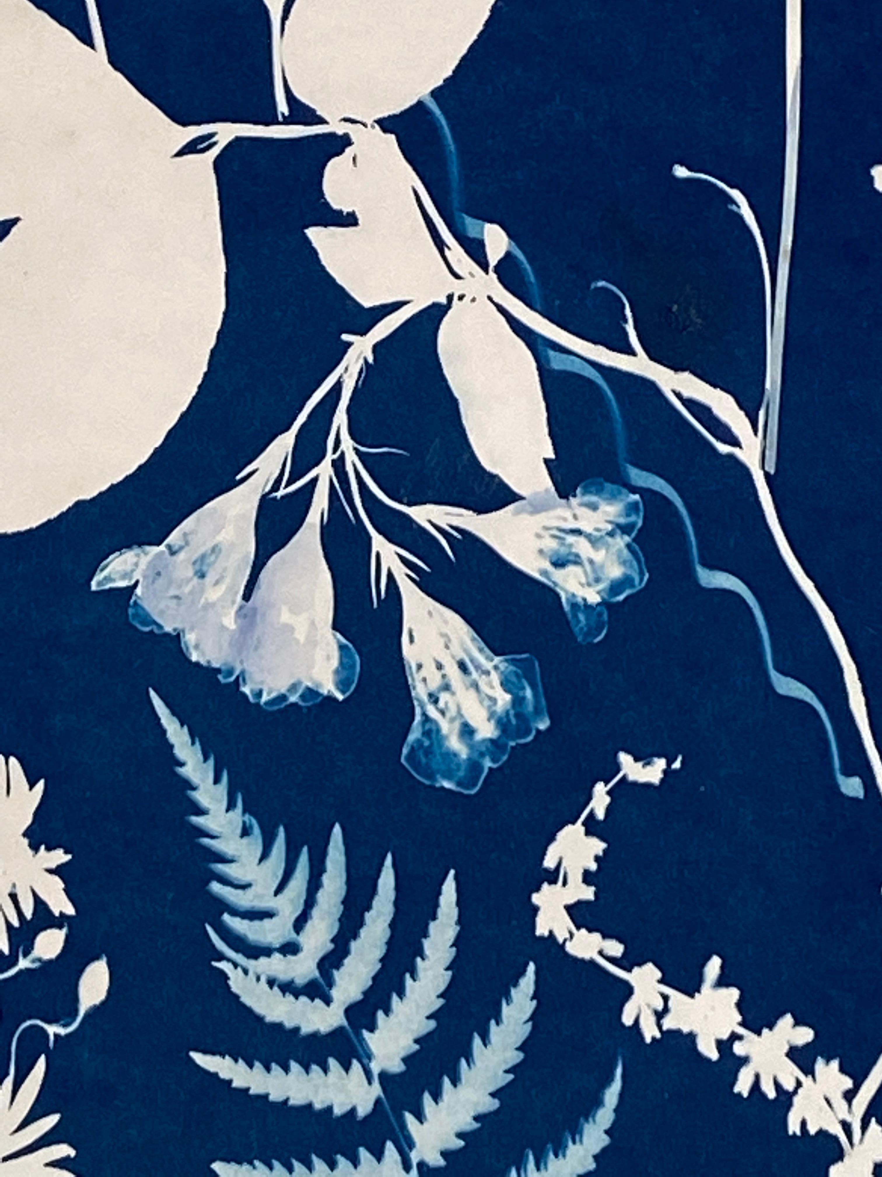 Cyanotype Painting Poppies, Rose of Sharon, Ferns, Botanical Painting in Blue 3
