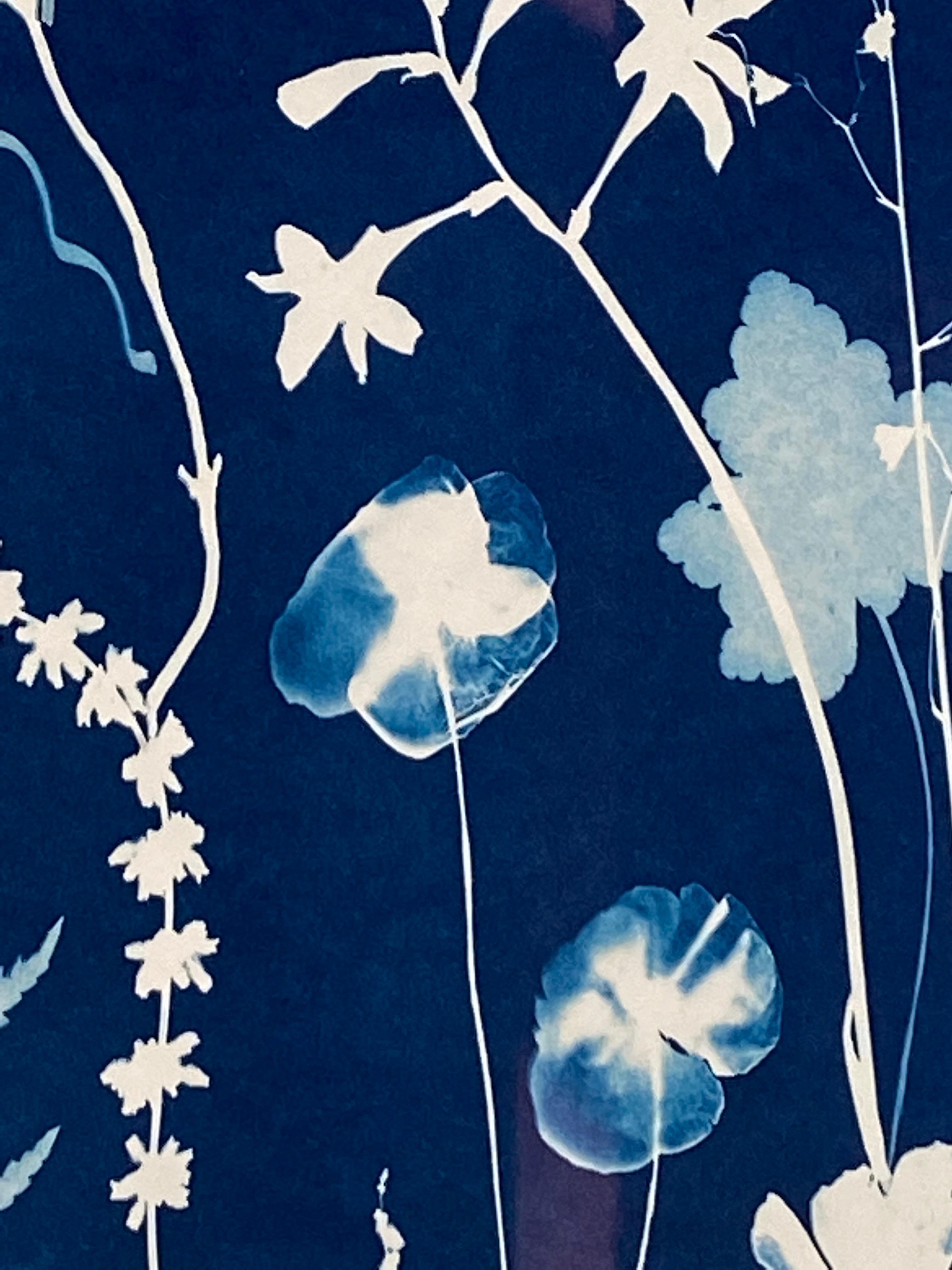 Cyanotype Painting Poppies, Rose of Sharon, Ferns, Botanical Painting in Blue 4