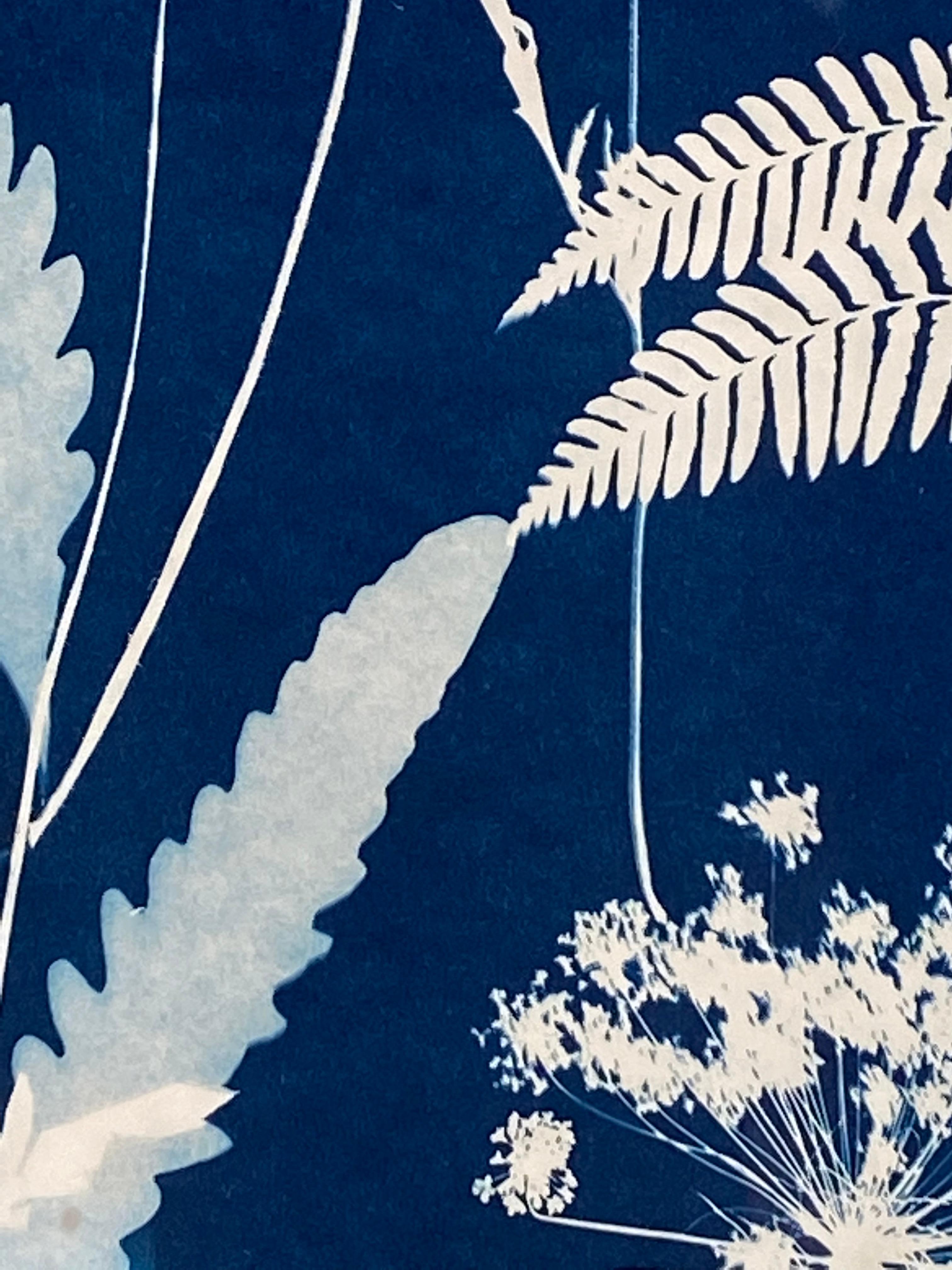 Cyanotype Painting Poppies, Rose of Sharon, Ferns, Botanical Painting in Blue 5