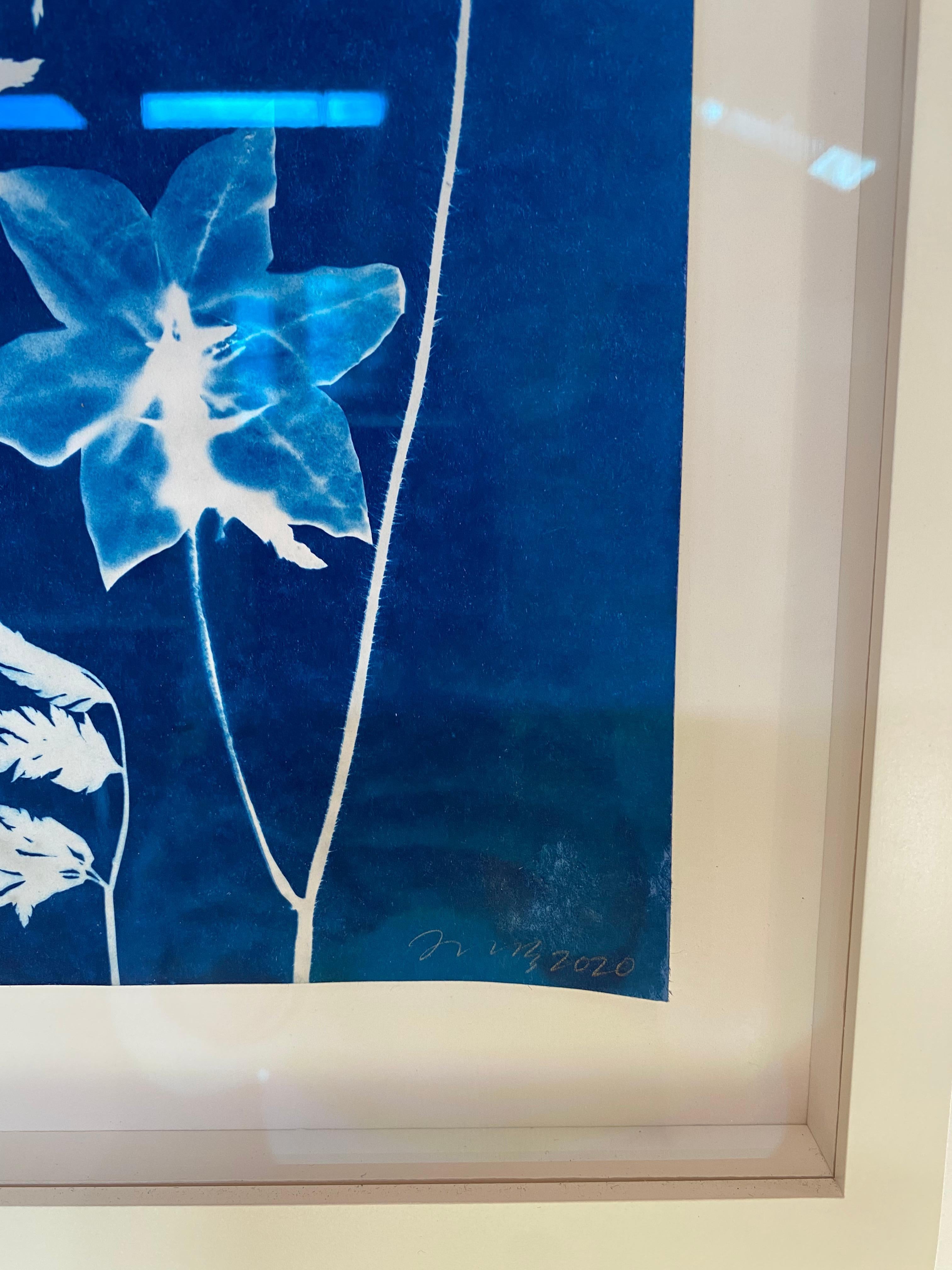 Cyanotype Painting Poppies, Rose of Sharon, Ferns, Botanical Painting in Blue 9