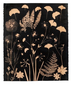 Cyanotype Painting Tea Toned Gingko, Ferns, Botanical Painting in Brown Sienna