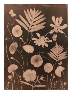Cyanotype Painting, Tea Toned Poppies, Ferns, Magnolias, Botanical Pollinators