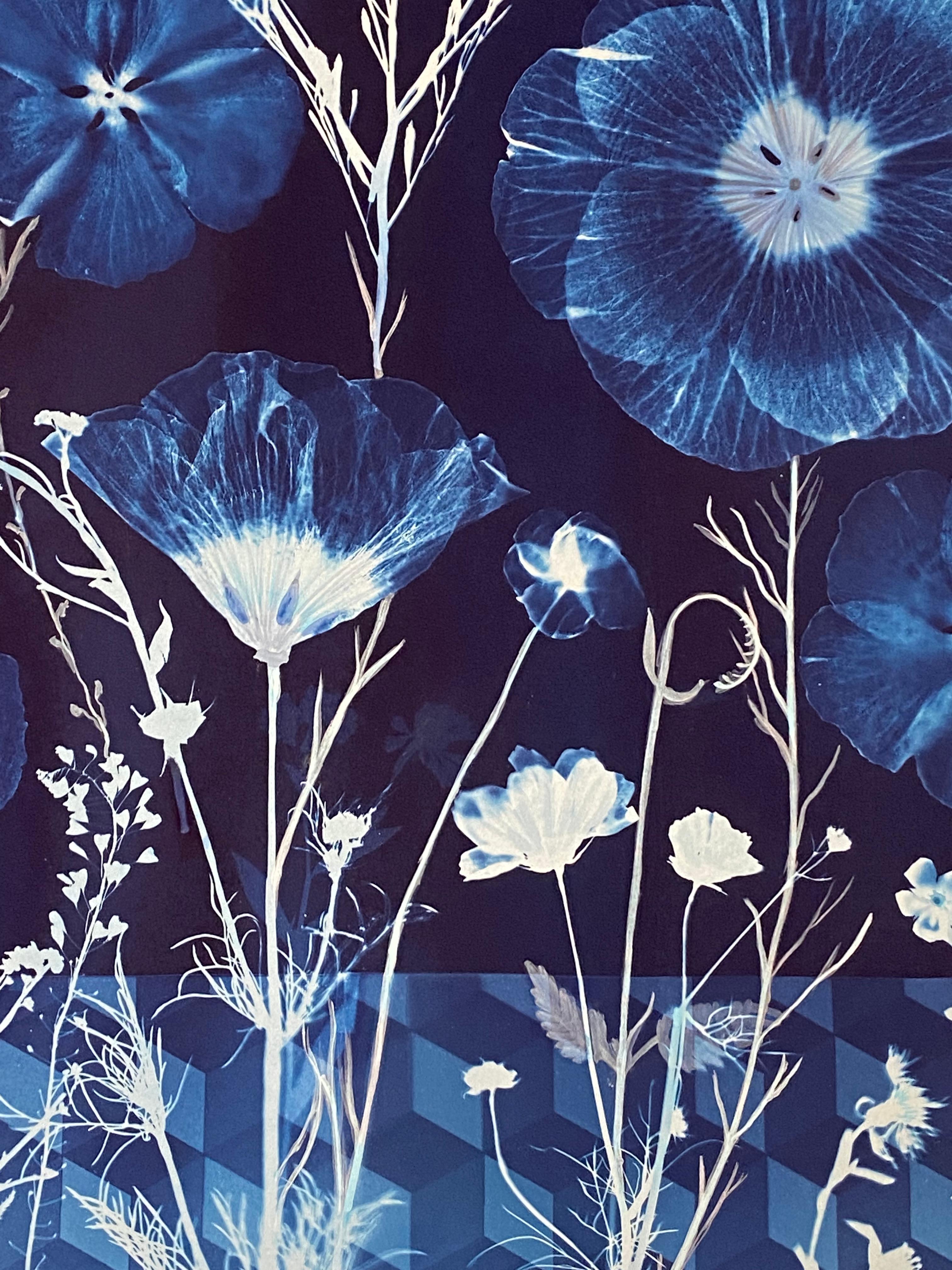 Cyanotype Painting Hibiscus, Tumbling Block Floor Pattern, Blue Botanical - Contemporary Art by Julia Whitney Barnes