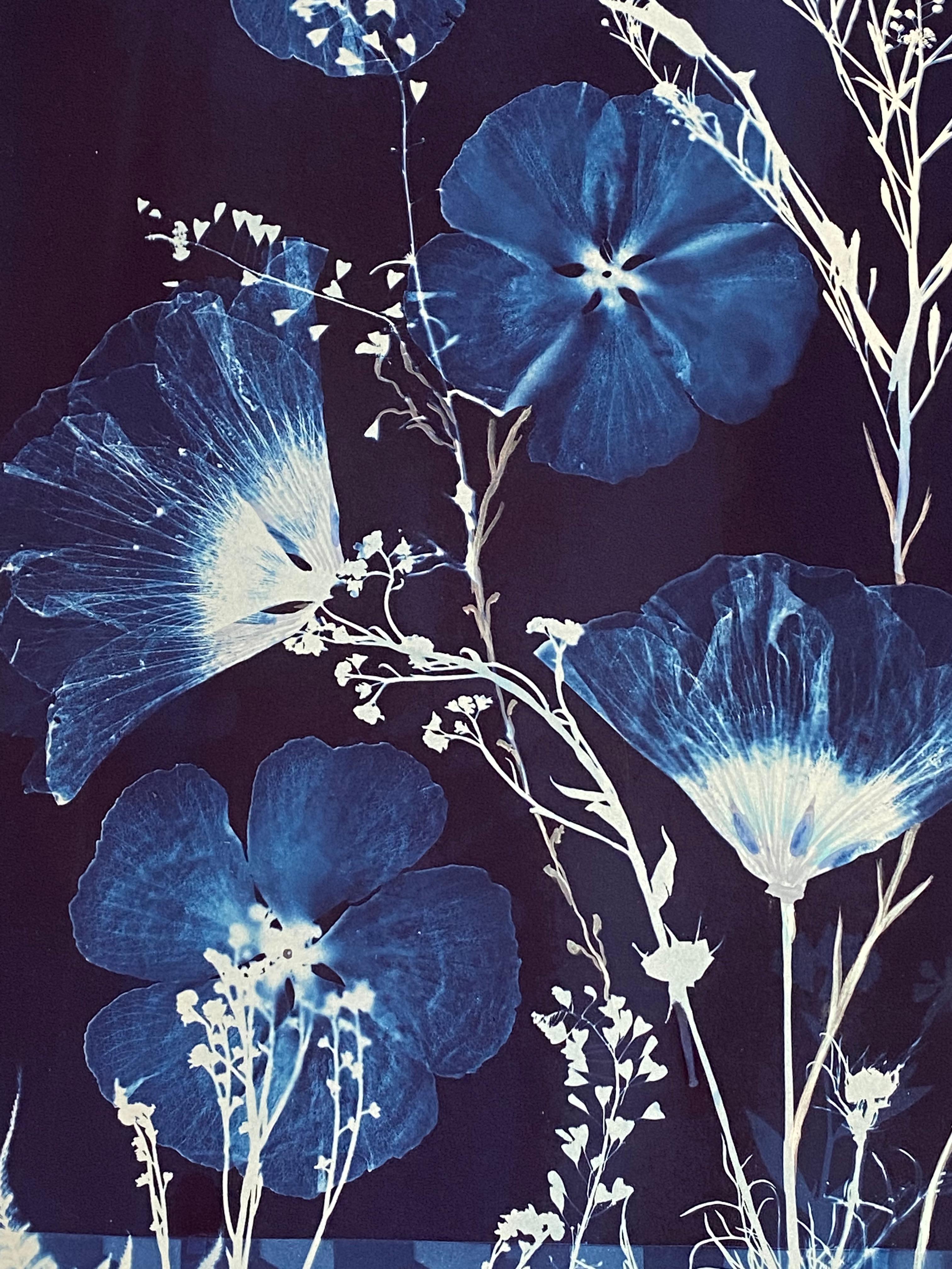 Cyanotype Painting Hibiscus, Tumbling Block Floor Pattern, Blue Botanical 2