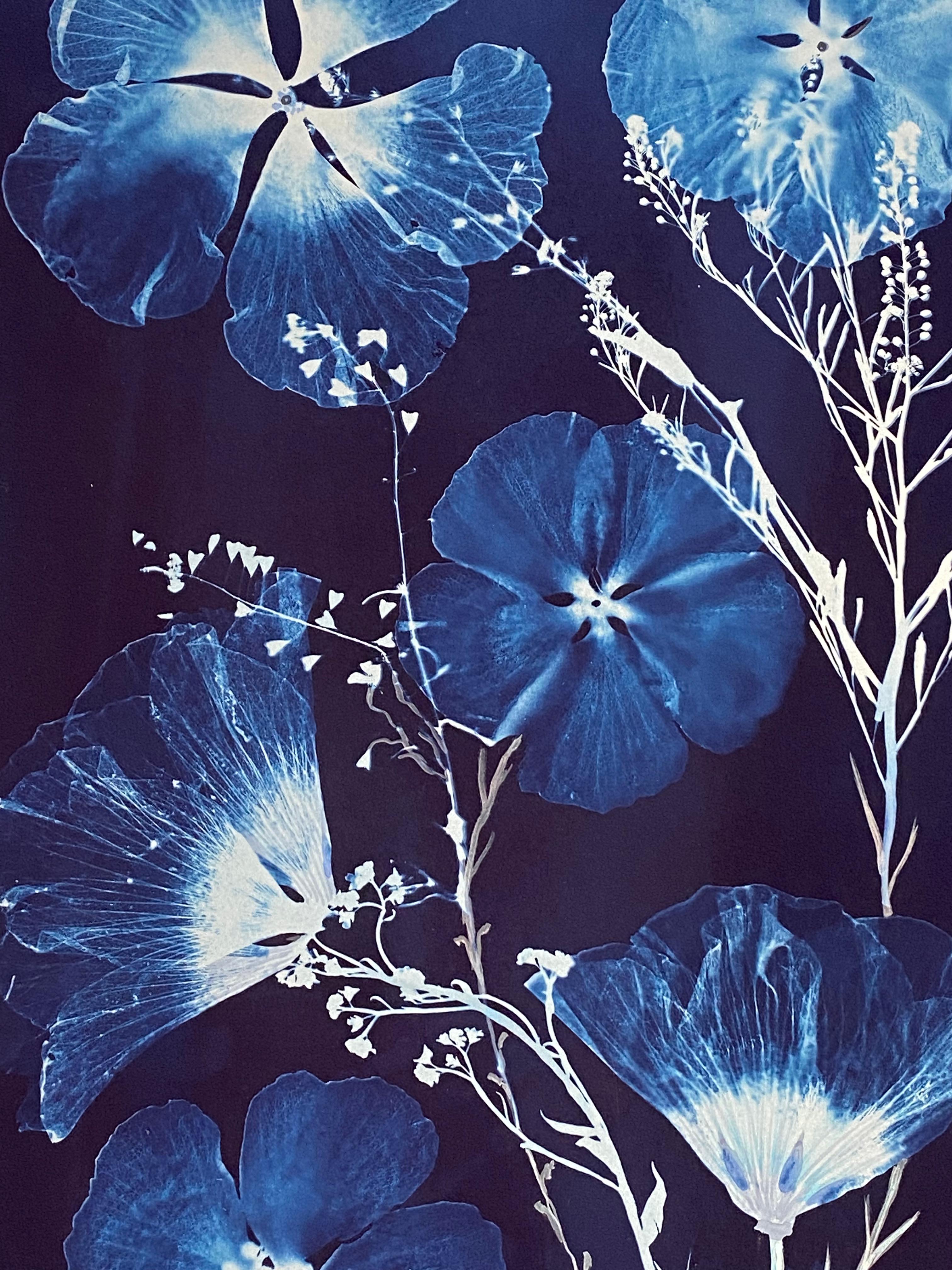 Cyanotype Painting Hibiscus, Tumbling Block Floor Pattern, Blue Botanical 3