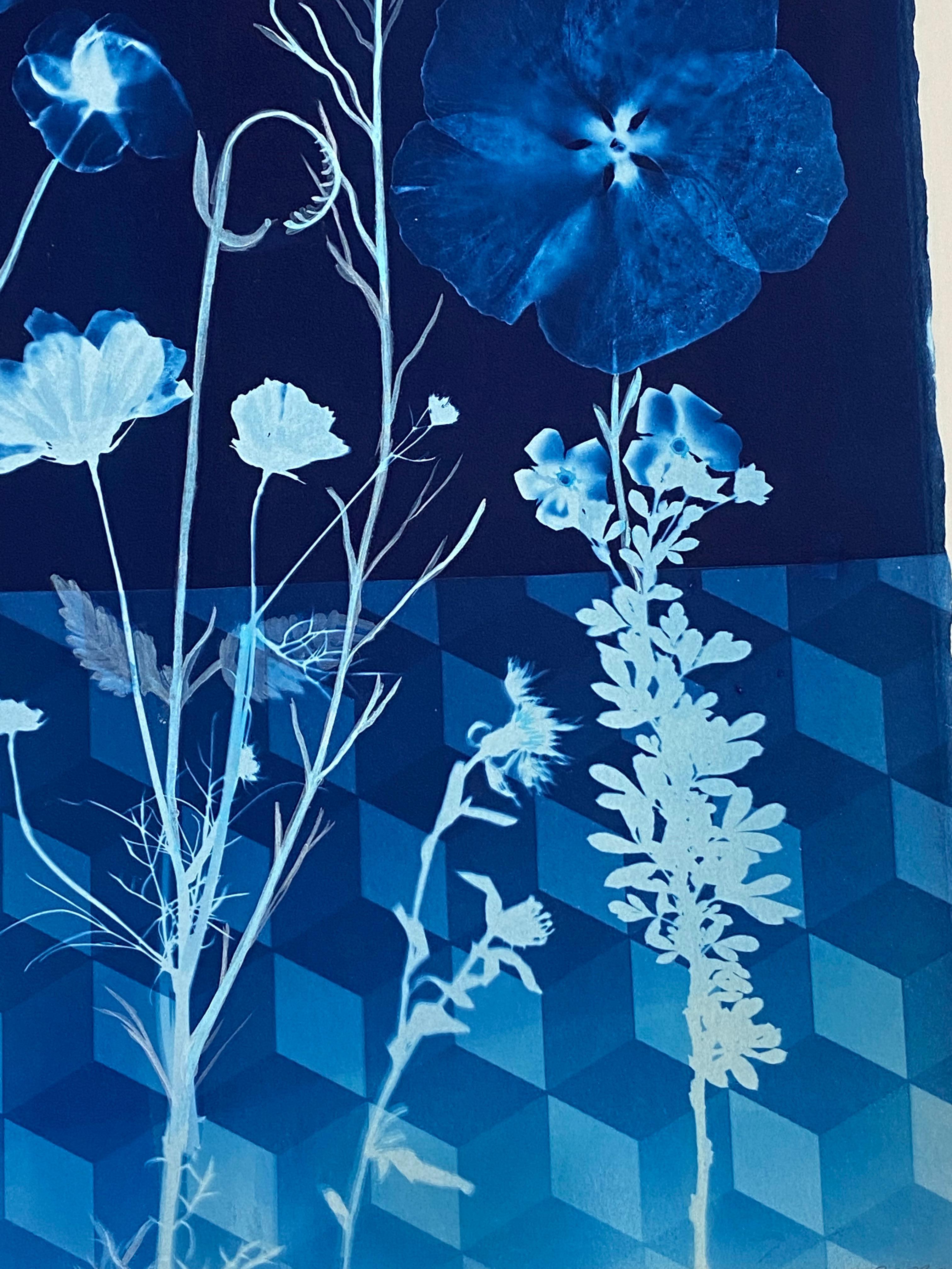 Cyanotype Painting Hibiscus, Tumbling Block Floor Pattern, Blue Botanical 5