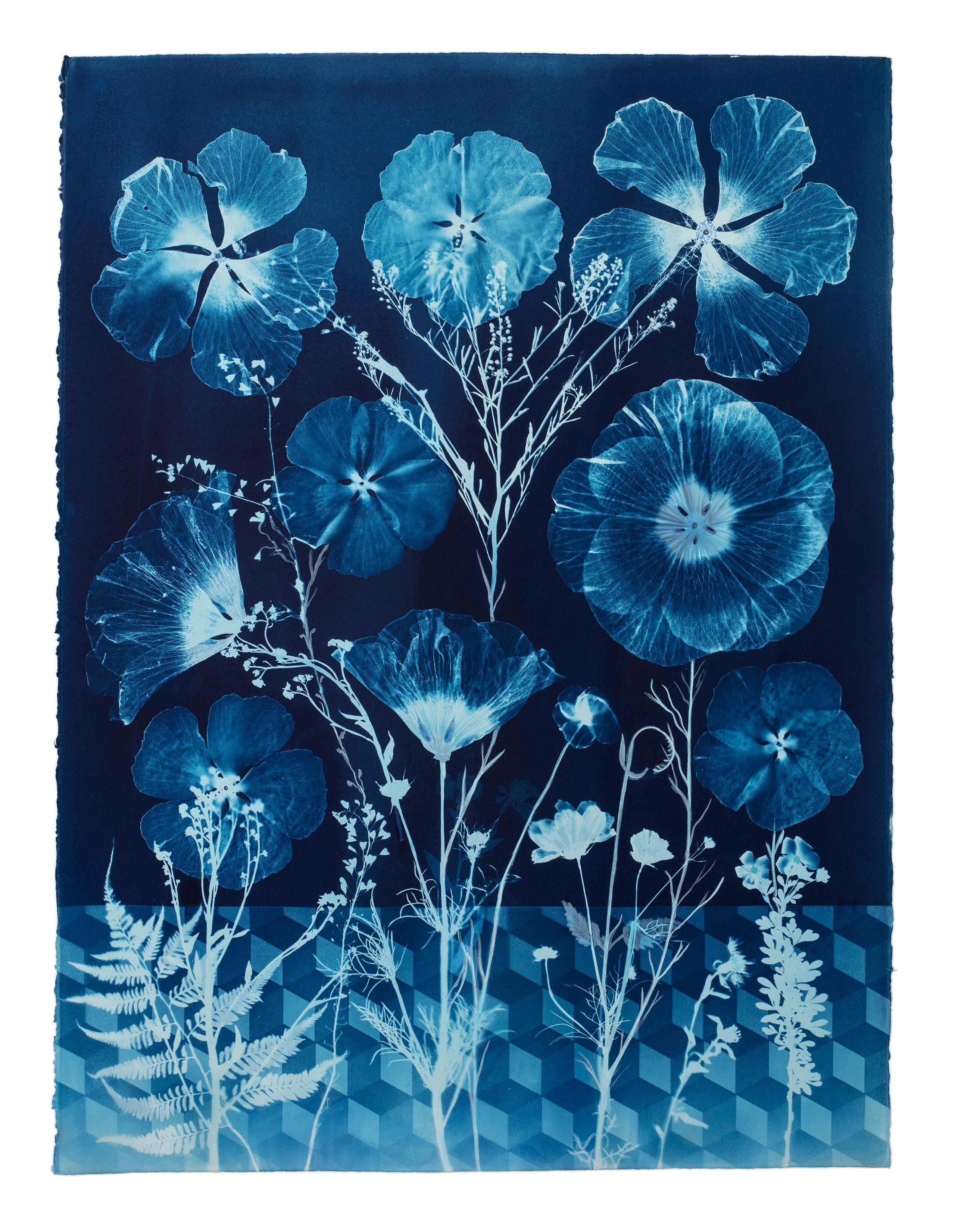 Cyanotype Painting Hibiscus, Tumbling Block Floor Pattern, Blue Botanical - Art by Julia Whitney Barnes