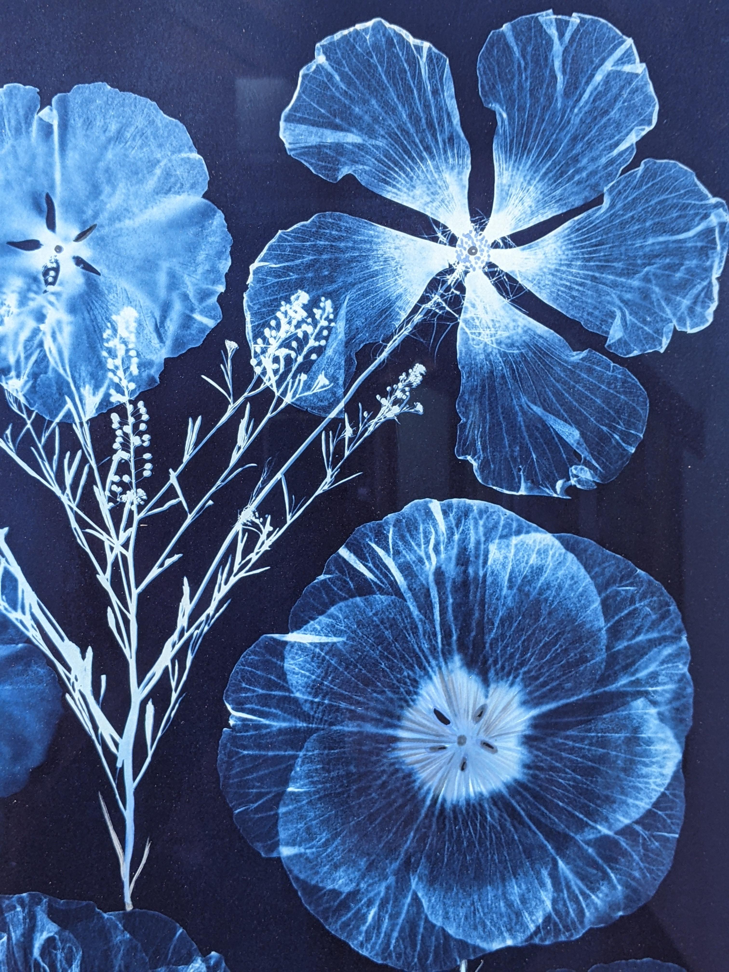 Cyanotype Painting Hibiscus, Tumbling Block Floor Pattern, Blue Botanical 6