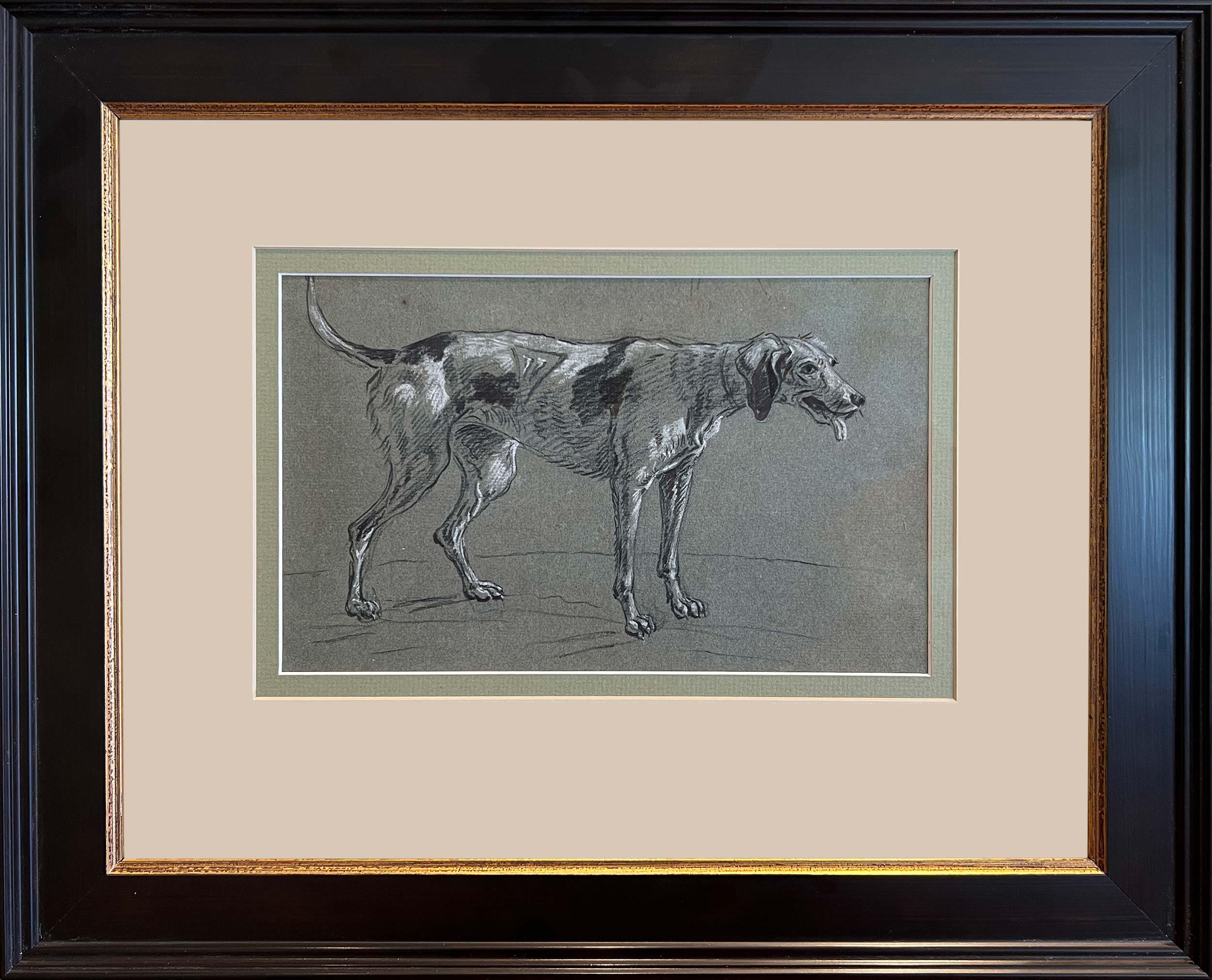 Louis Auguste Brun (Swiss 1758-1815), Study of a Hound Dog. Circa 1782.
A skilled draughtsman and an outstanding painter of portraits, animals and landscapes, the Swiss artist Louis-Auguste Brun (1758–1815) is today principally known for the works