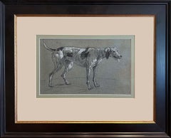 Study of a Hound Dog. Circa 1782. Louis Auguste Brun (Swiss 1758-1815)