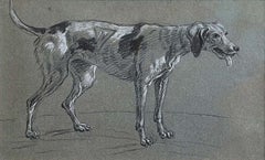 Studio di un cane da caccia. Circa 1782. Louis Auguste Brun (Svizzera 1758-1815)