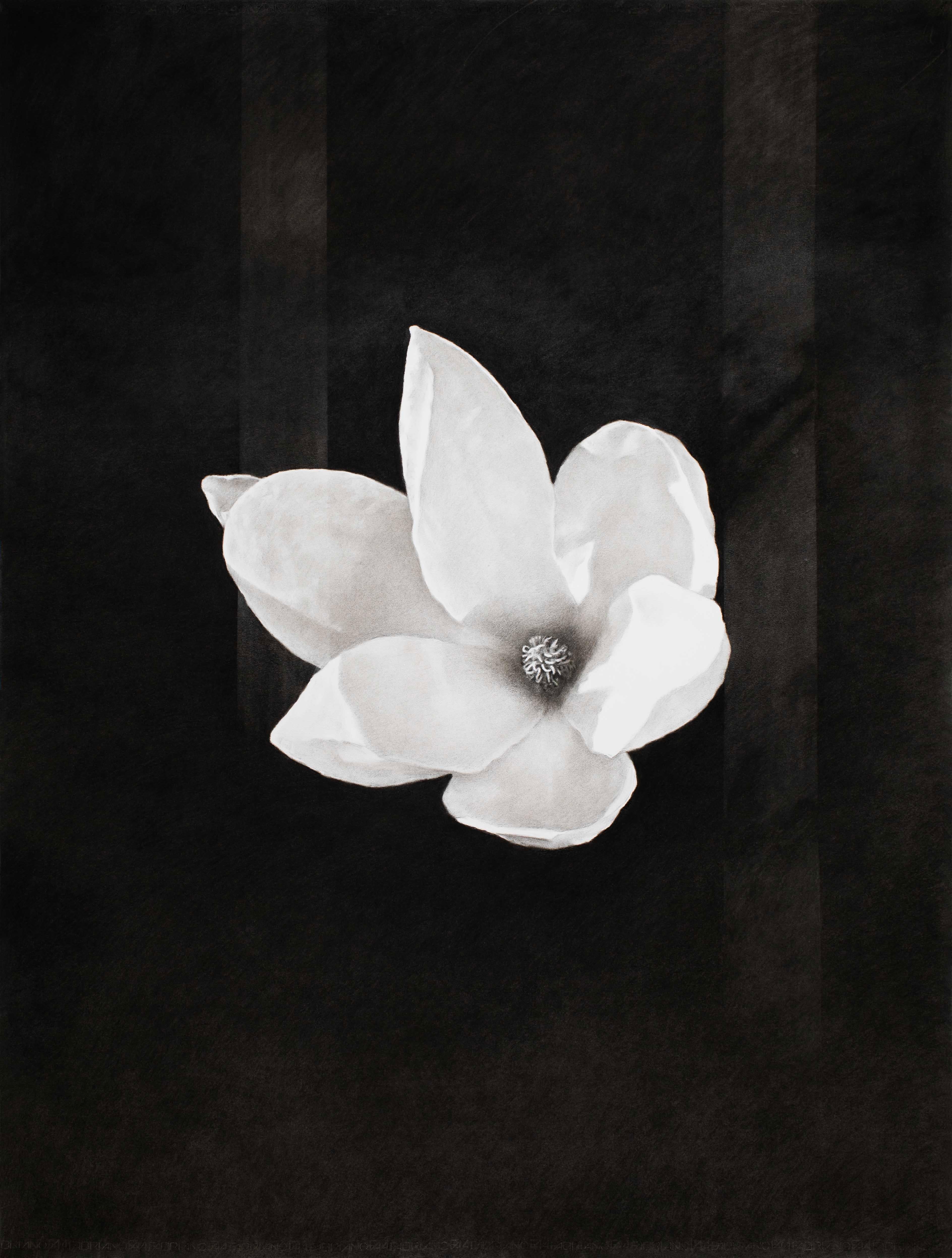 Landscape Art de Luo Mingjun - Una flor un mundo