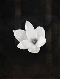 One flower one world
