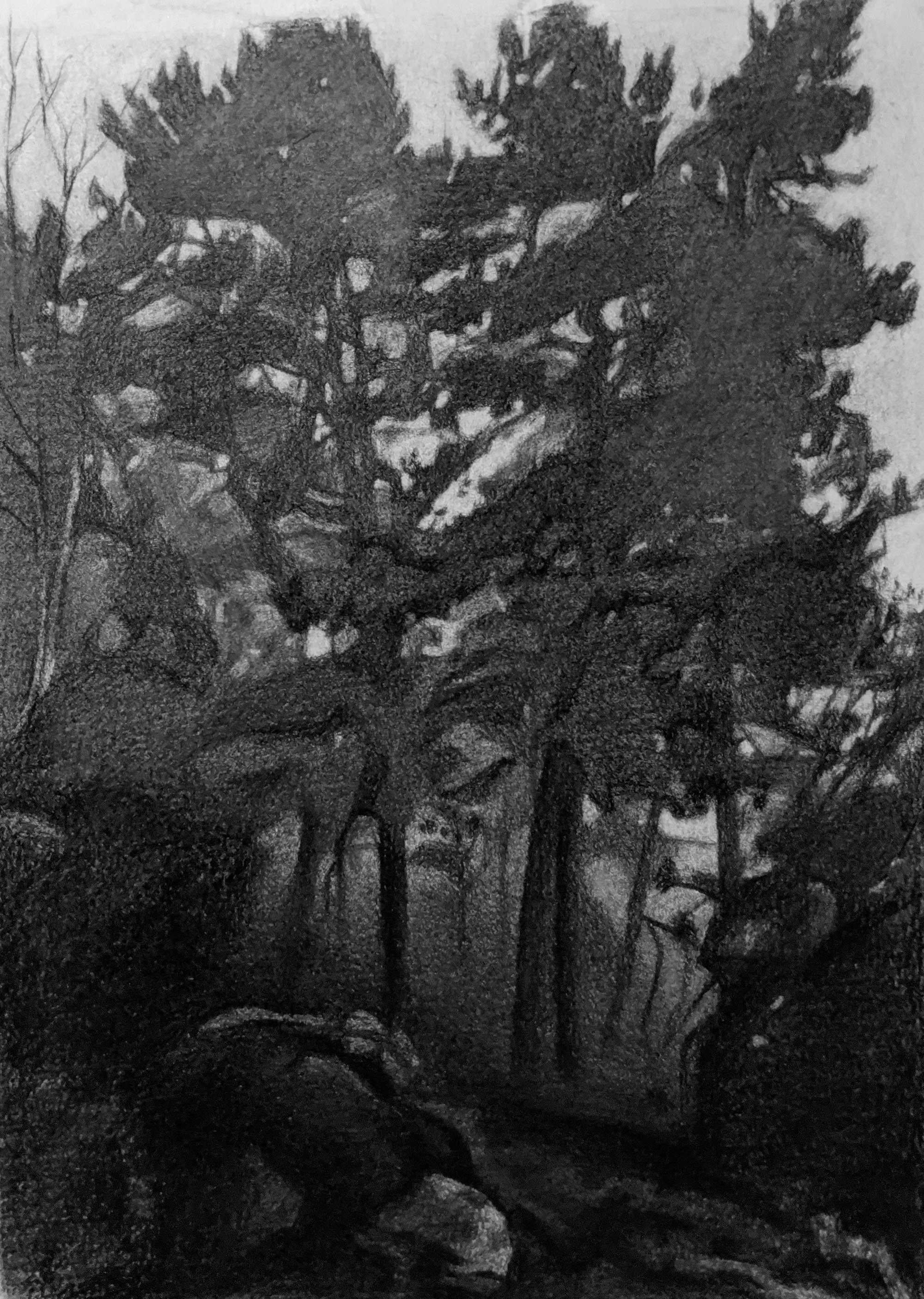 Jessica Keiser Still-Life - Ilkley Moor Pines