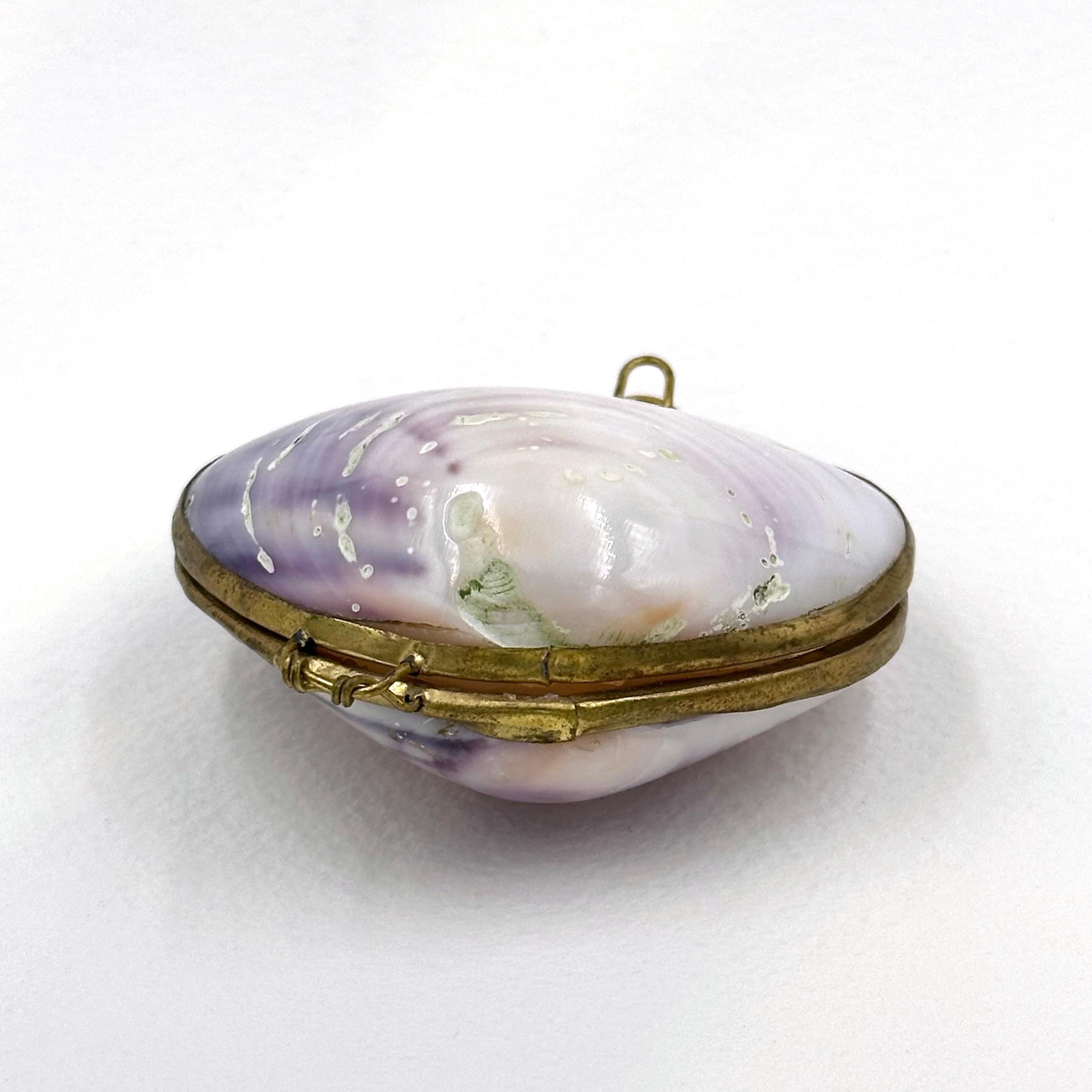 Clamshell Compact 1