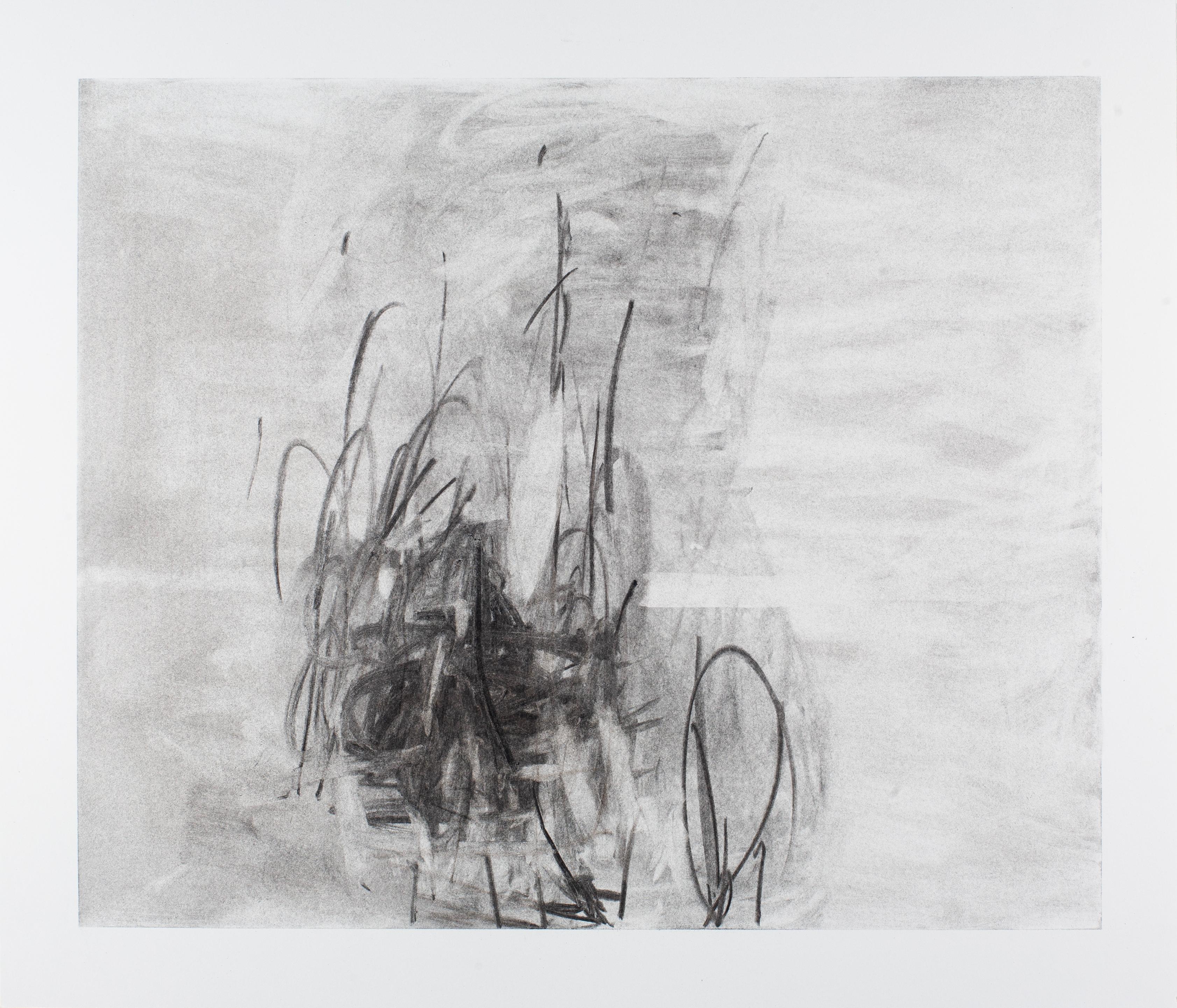 Lita Kenyon Abstract Drawing - Tangle No. 1