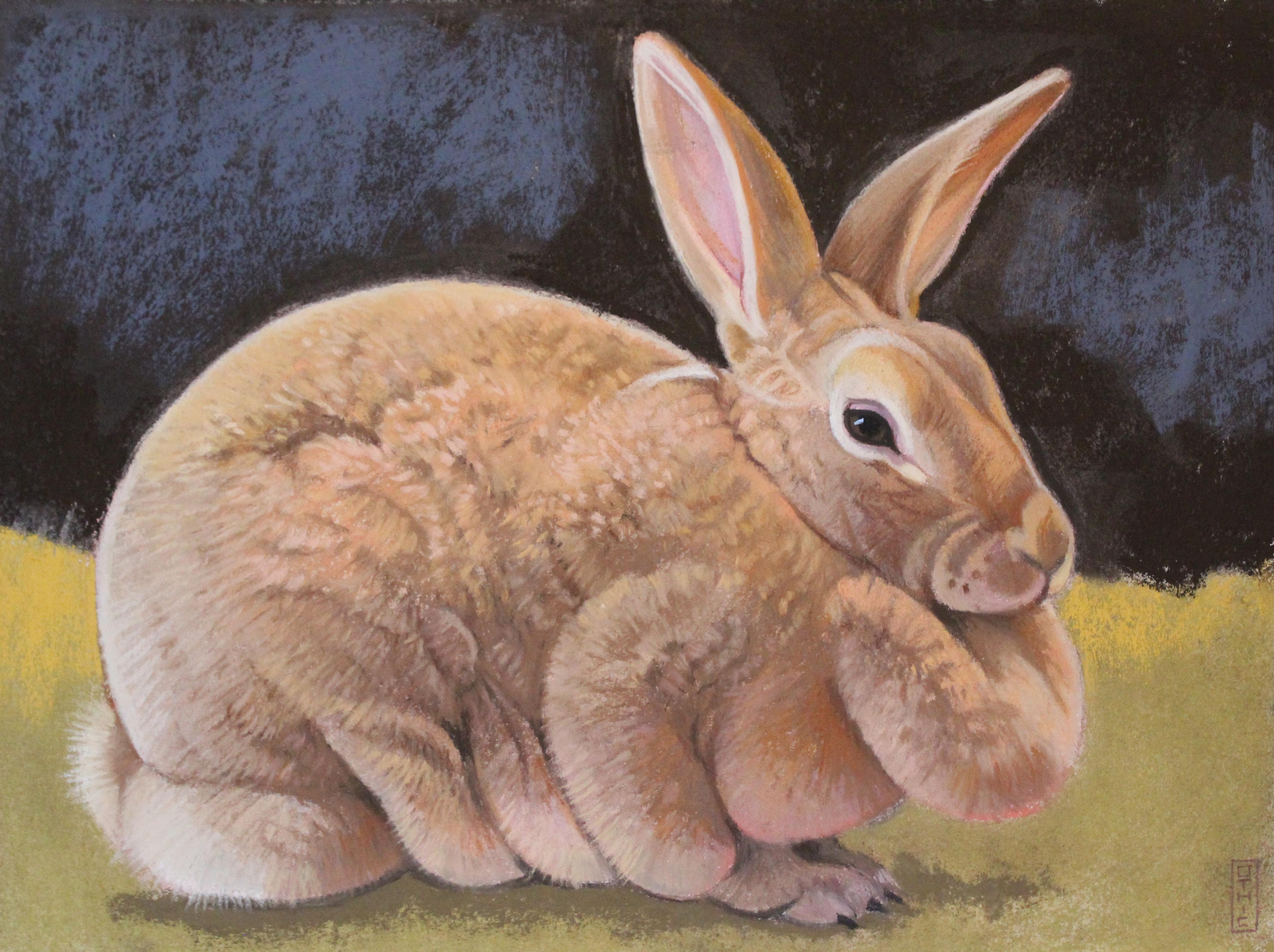 Nora Othic Figurative Art - Buff-Colored Rabbit