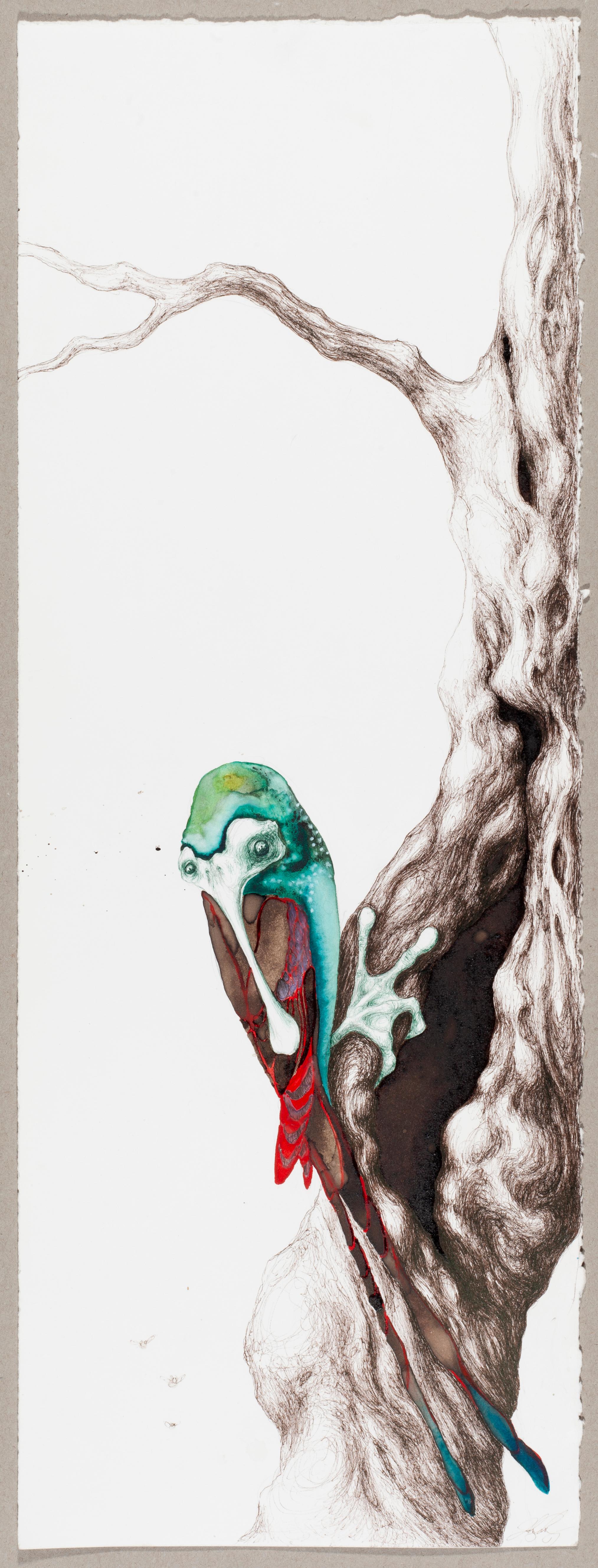 Amphibious Spoonbill Flycatcher