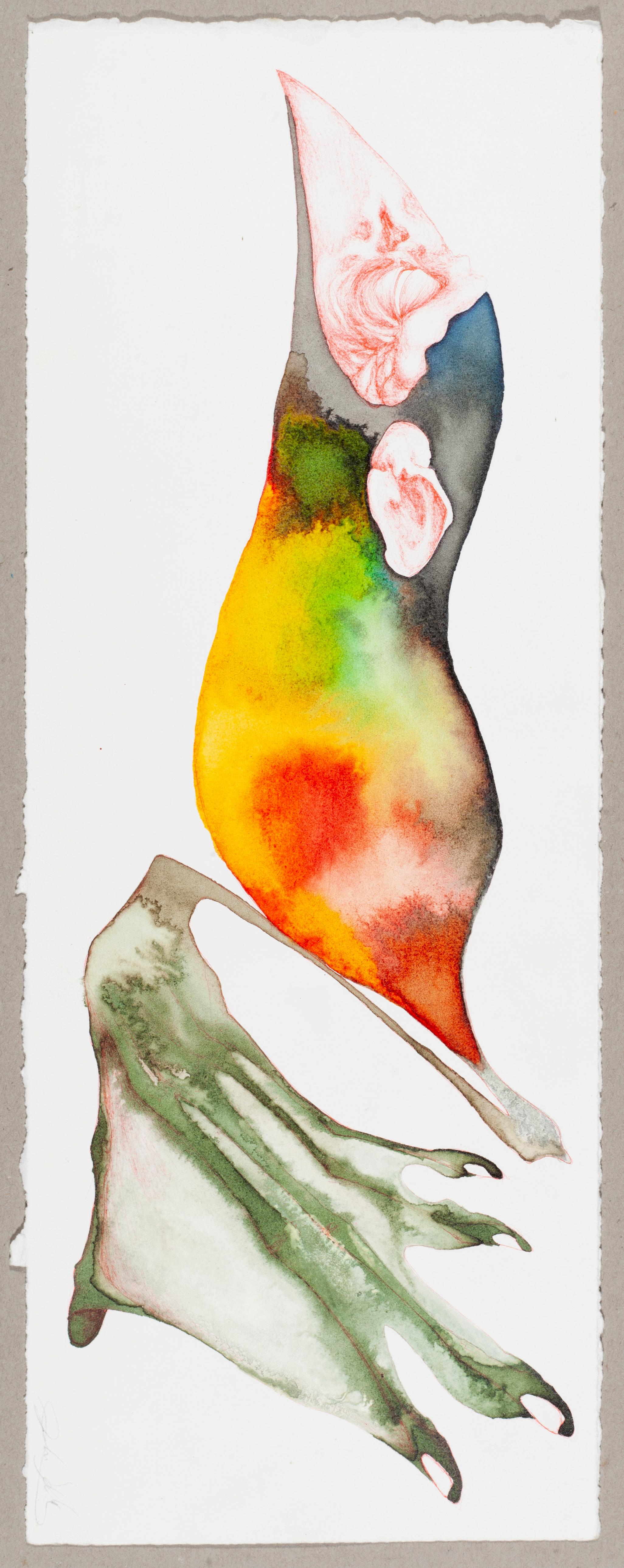 Oiseauphibien - Art de John Selburg