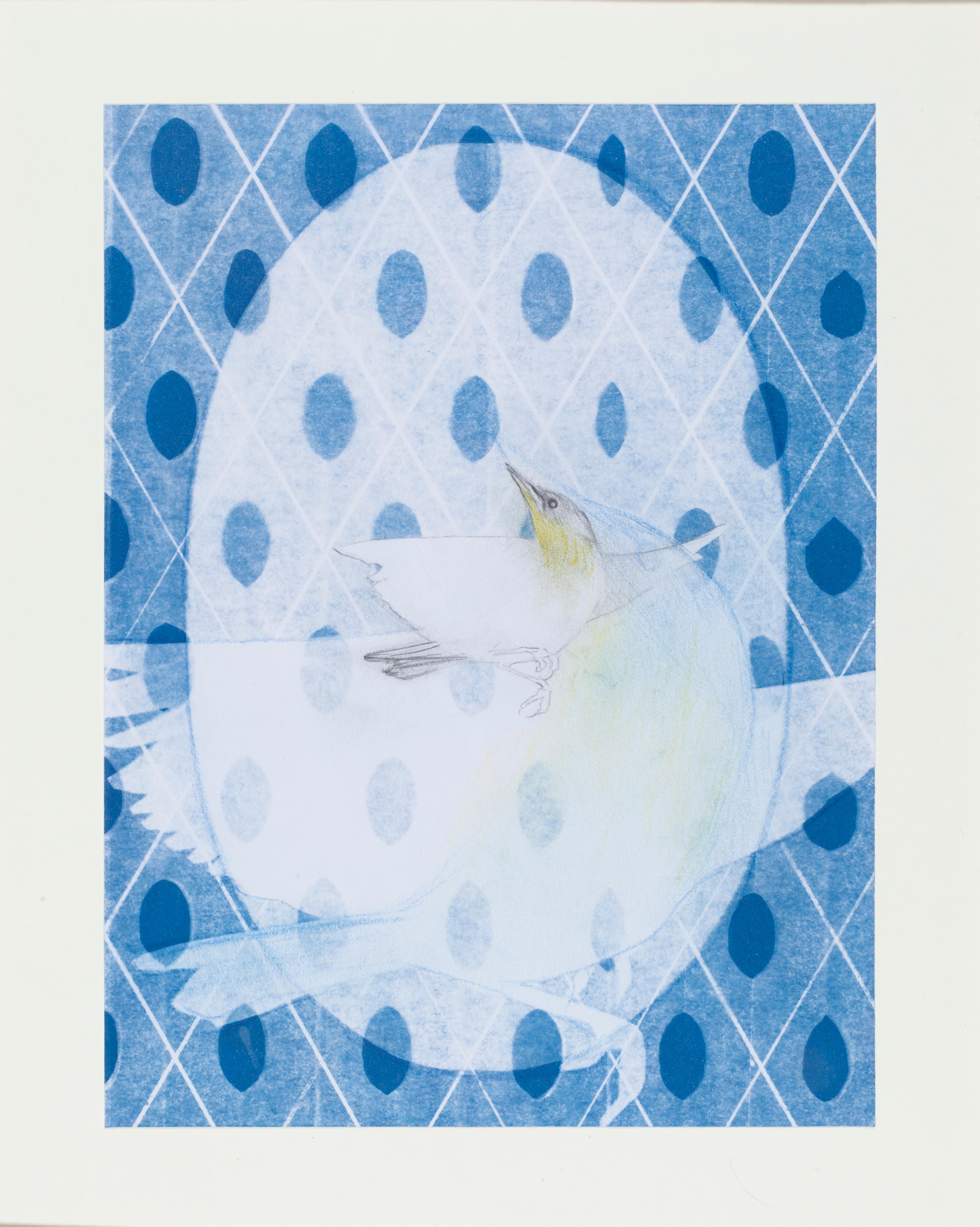 Parula settentrionale - Art di Hannah Reeves