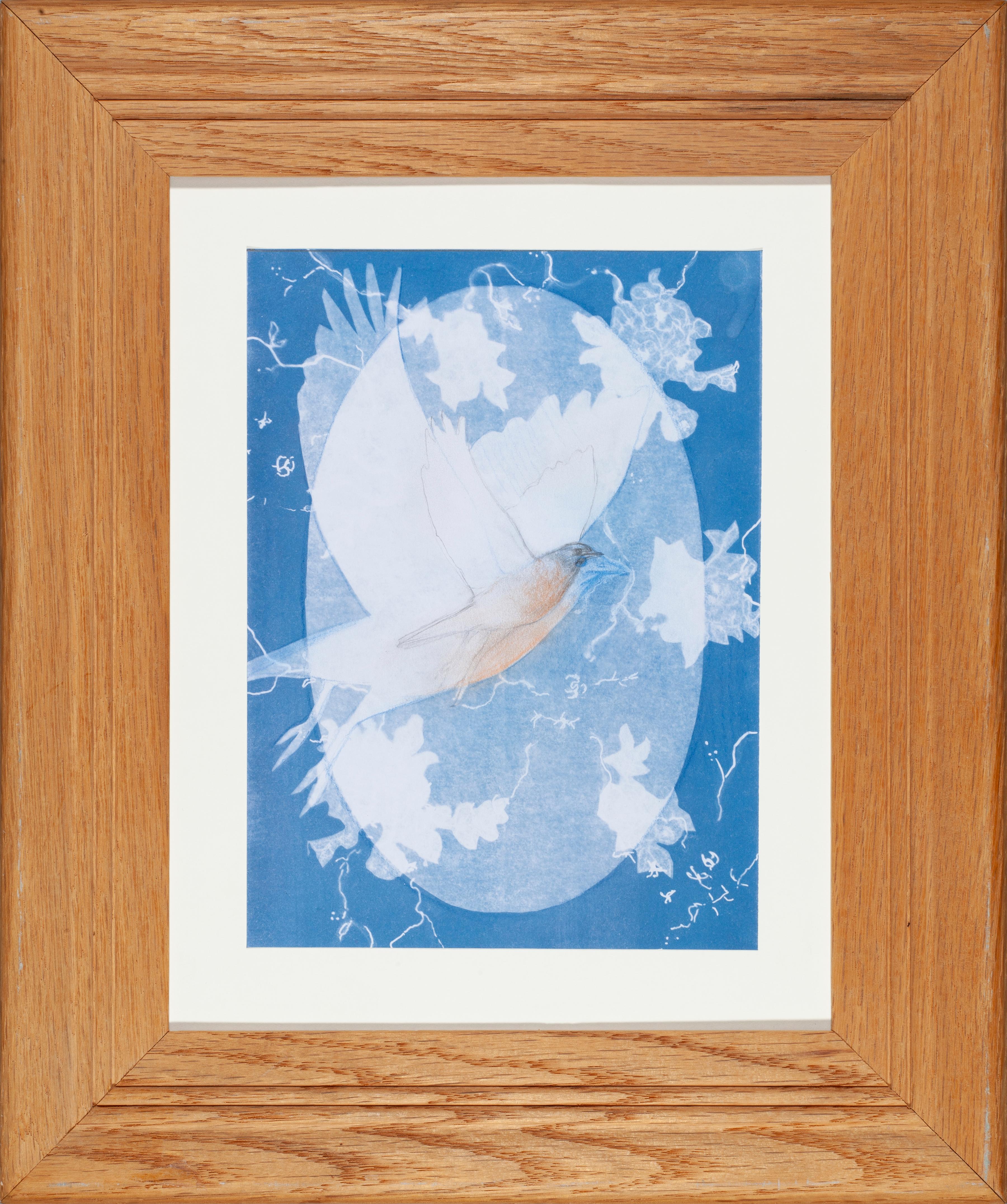 Uccello azzurro orientale
