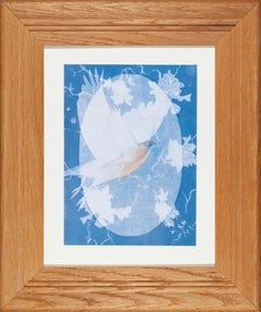 Uccello azzurro orientale