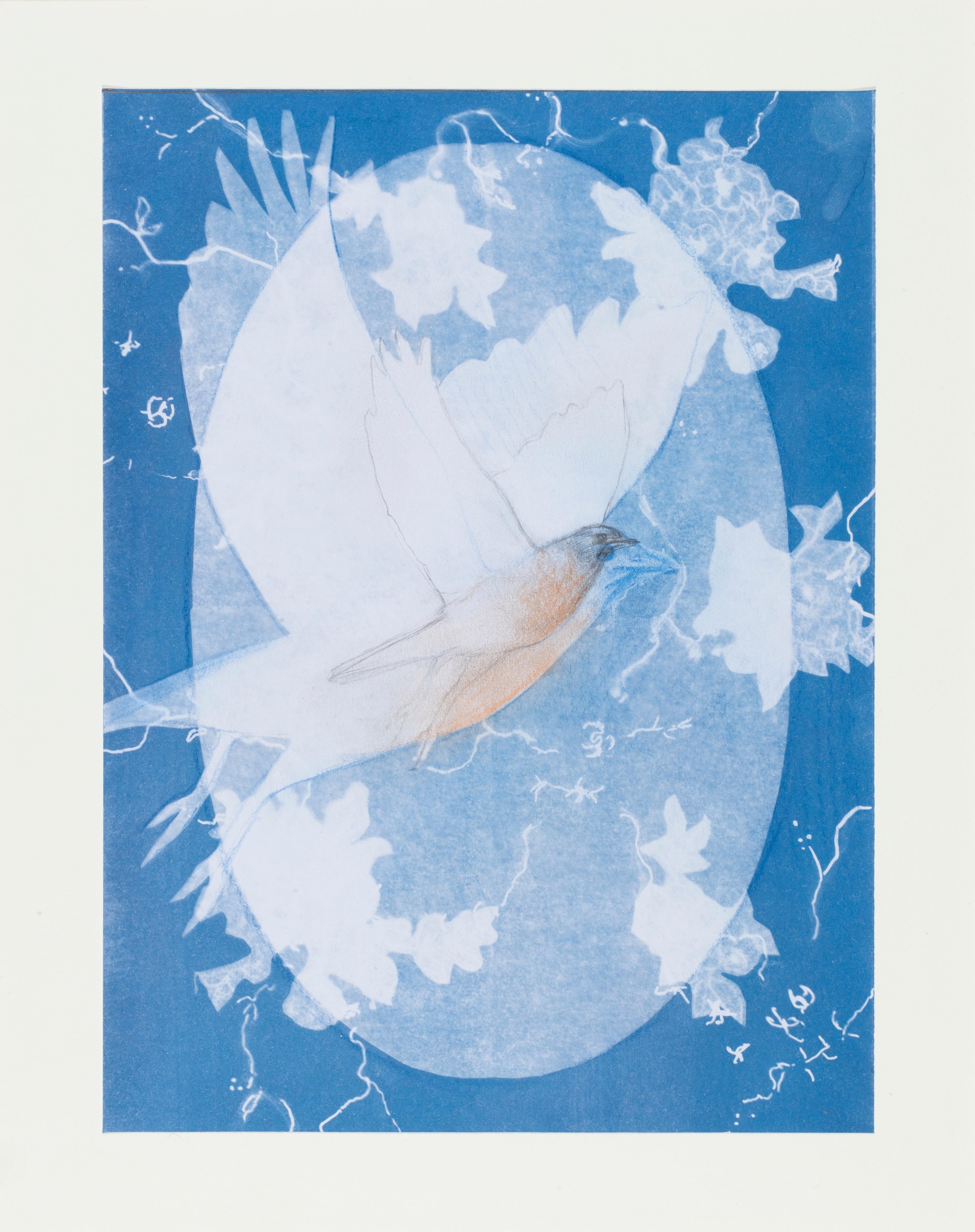 Rotkehl-Hüttensänger – Art von Hannah Reeves