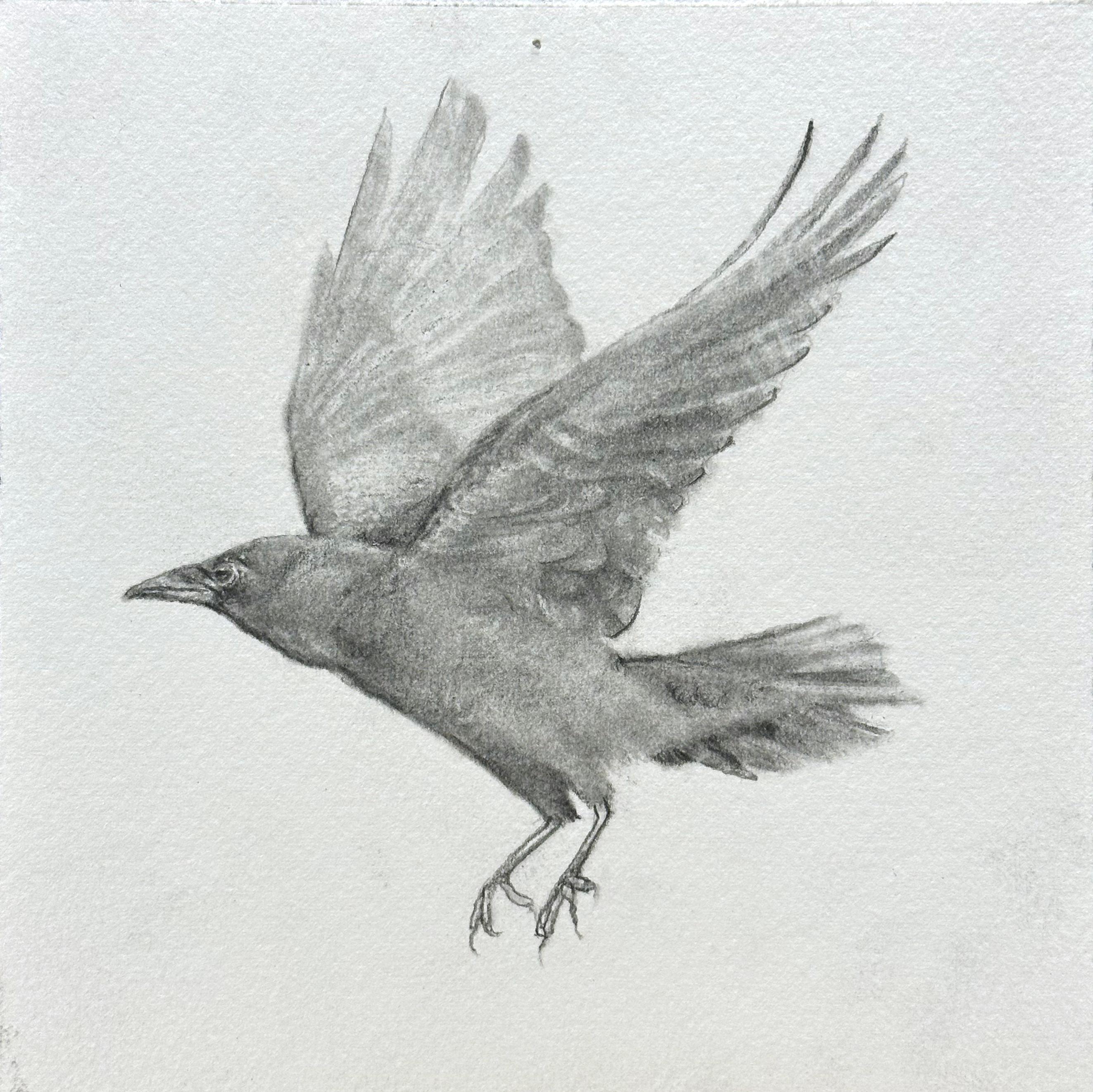 Joel Sager Animal Art - Bird