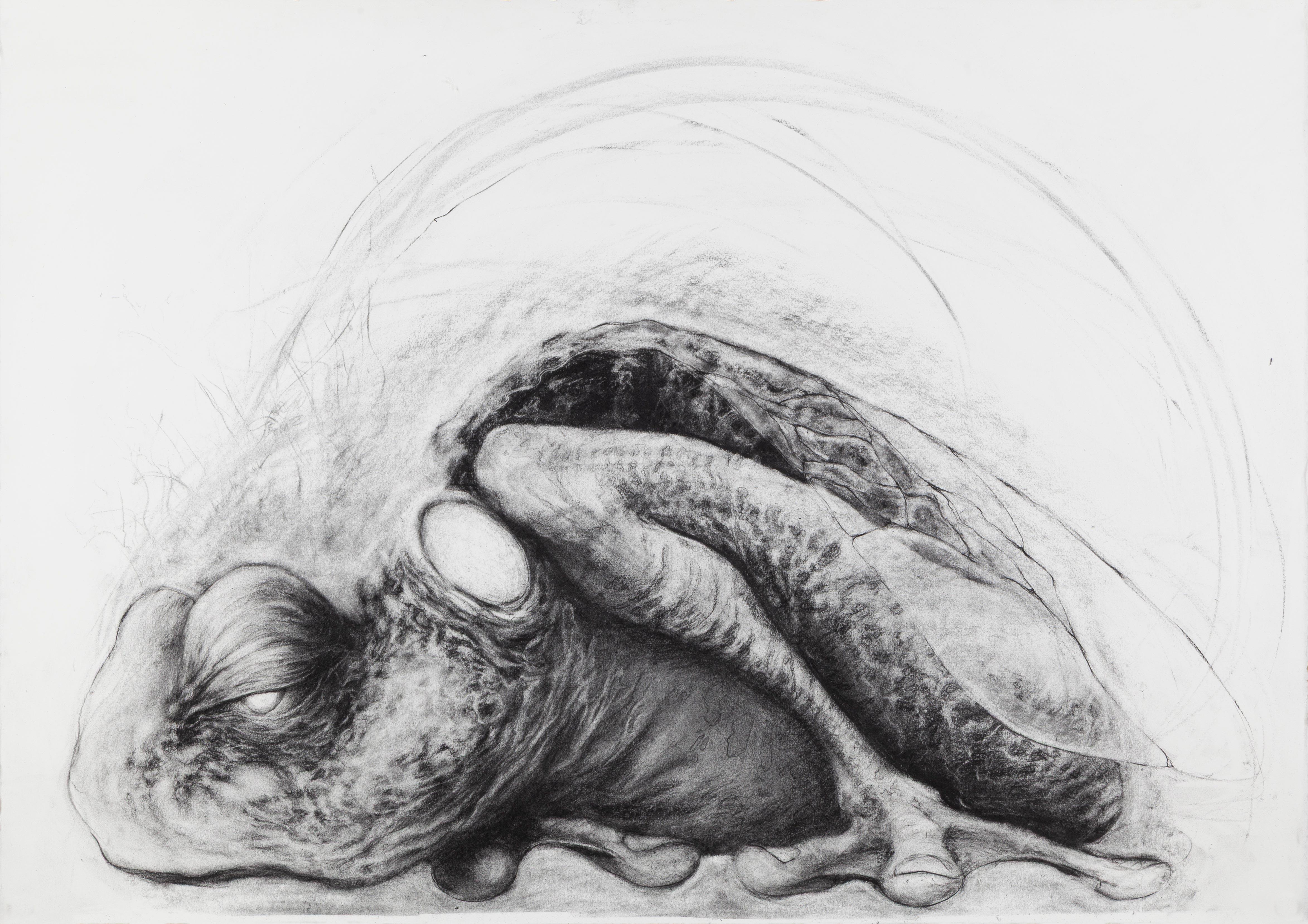 Oversized Disegni e acquarelli (animali)