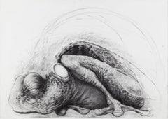 Disegni e acquerelli di animali di carta