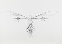 Disegni di animali e acquerelli